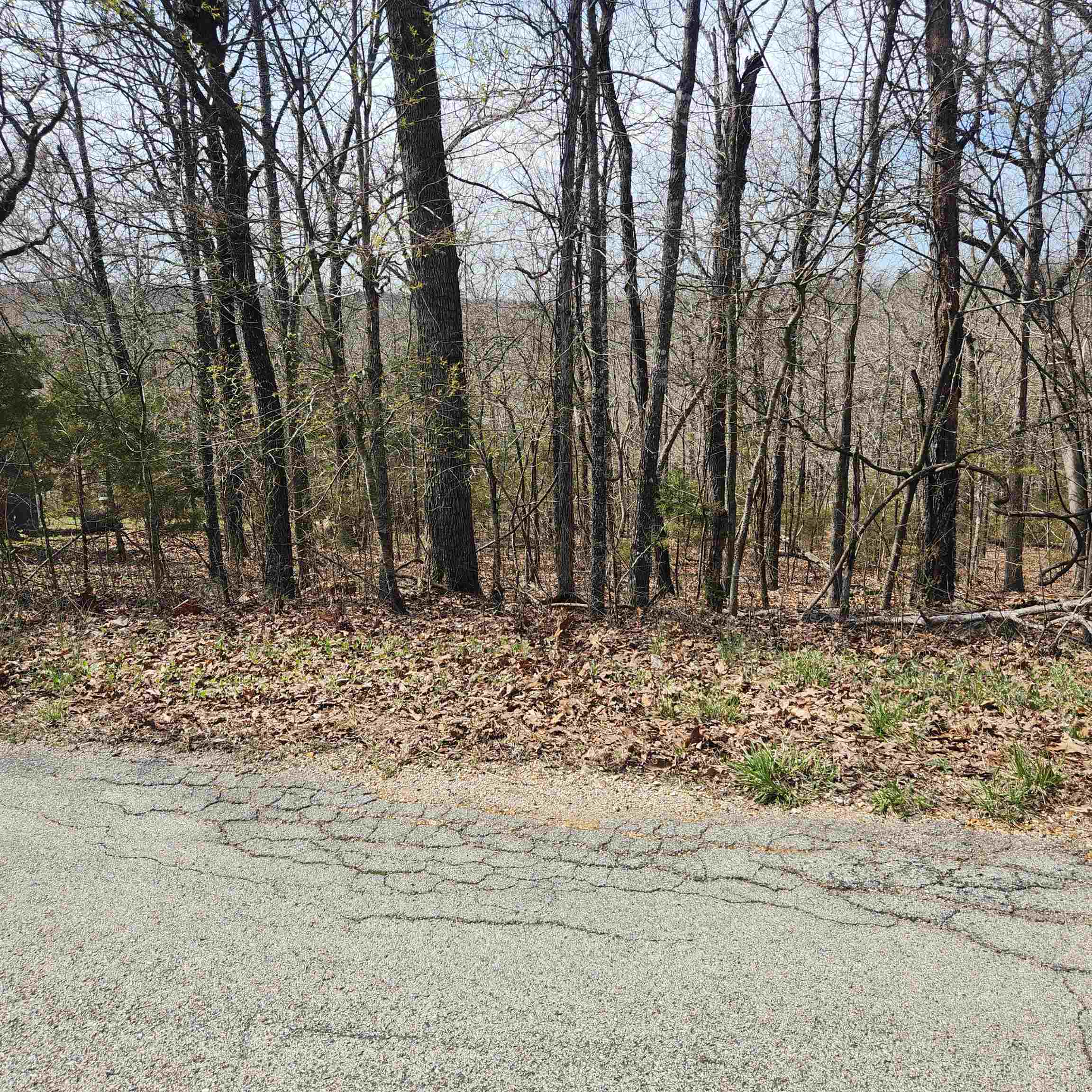 Photo 8 - Vacant Land for sale – L-6, B11  Flathead   Cherokee Village, AR