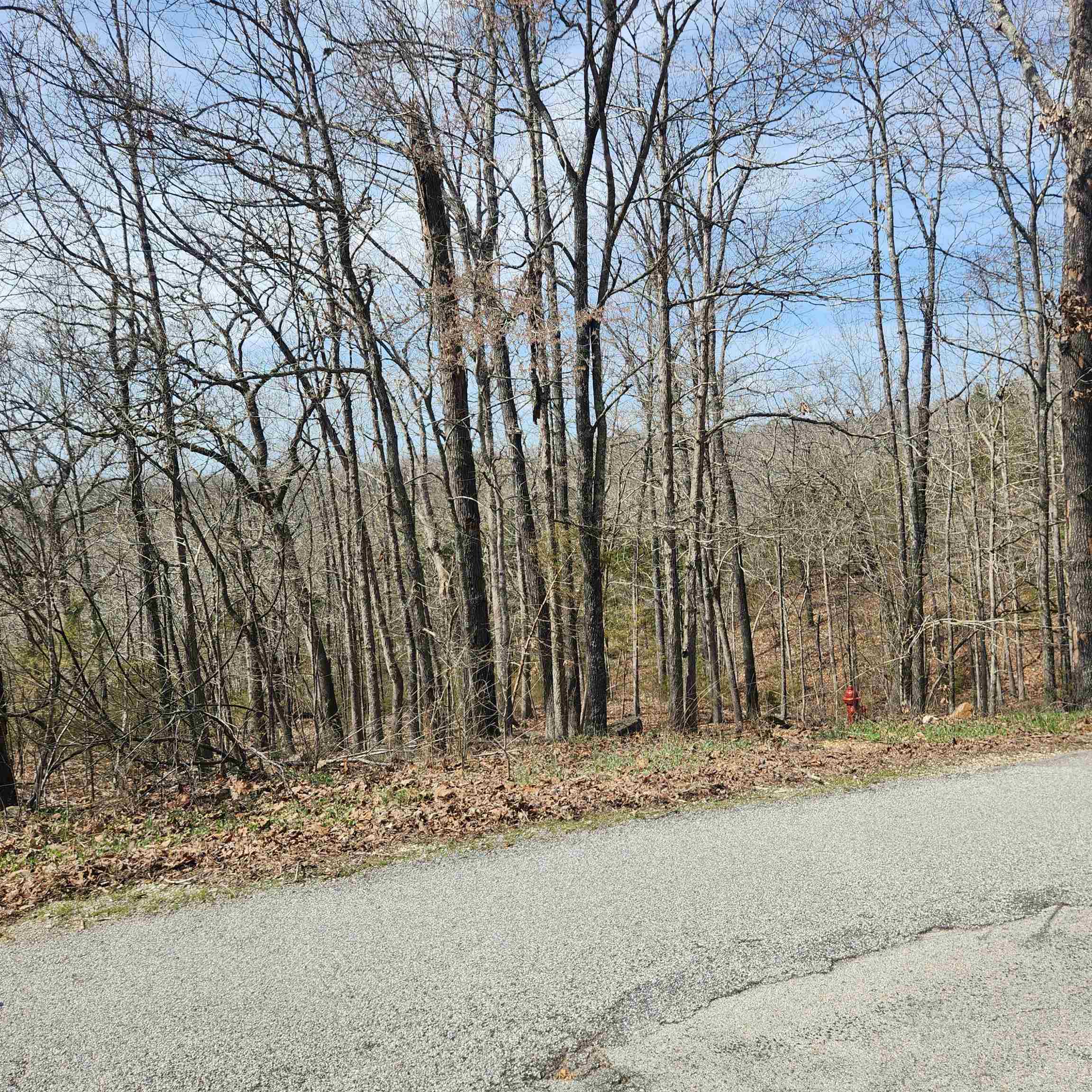 Photo 9 - Vacant Land for sale – L-6, B11  Flathead   Cherokee Village, AR