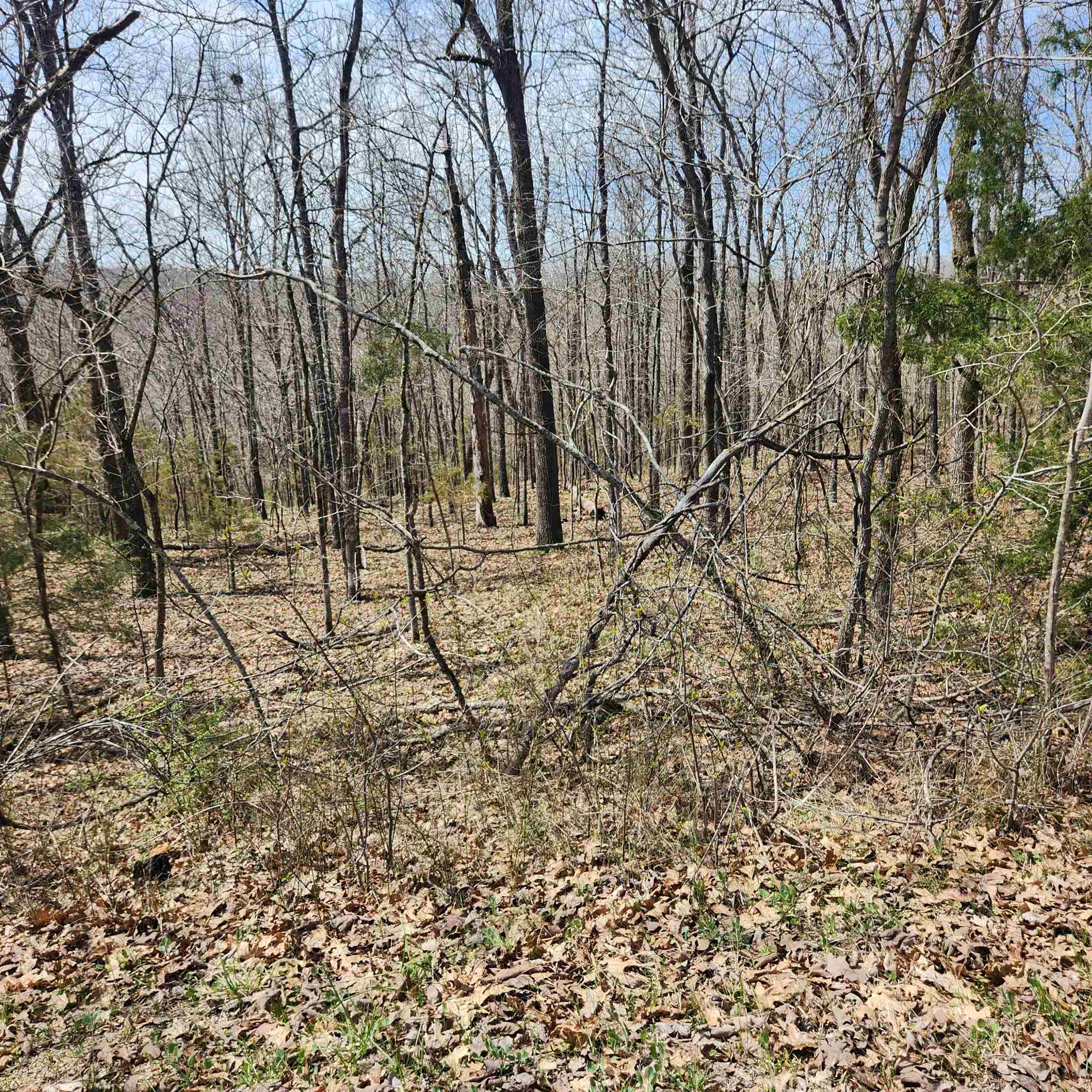 Vacant Land for sale – L-2 B-11  Flathead   Cherokee Village, AR