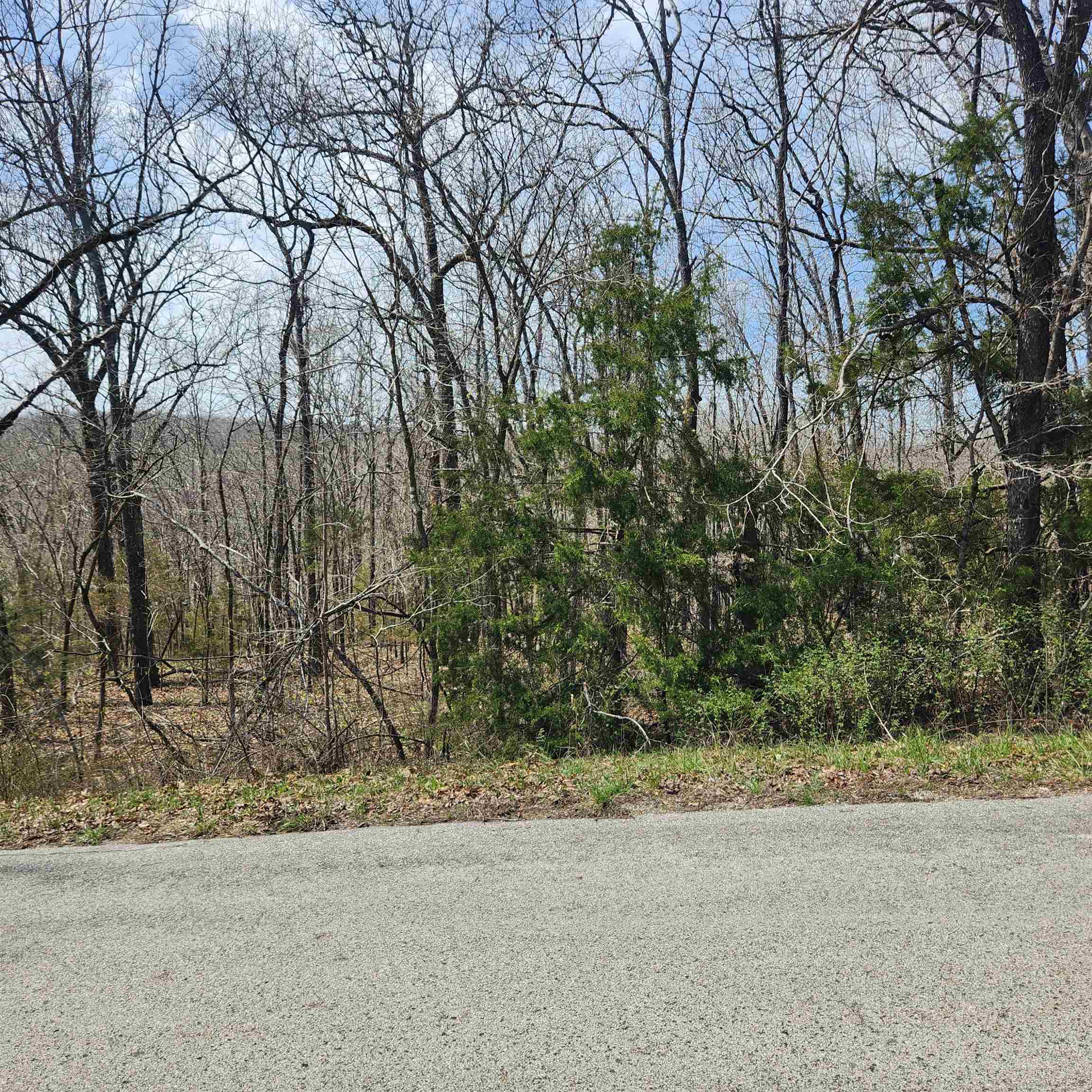 Photo 2 - Vacant Land for sale – L-2 B-11  Flathead   Cherokee Village, AR