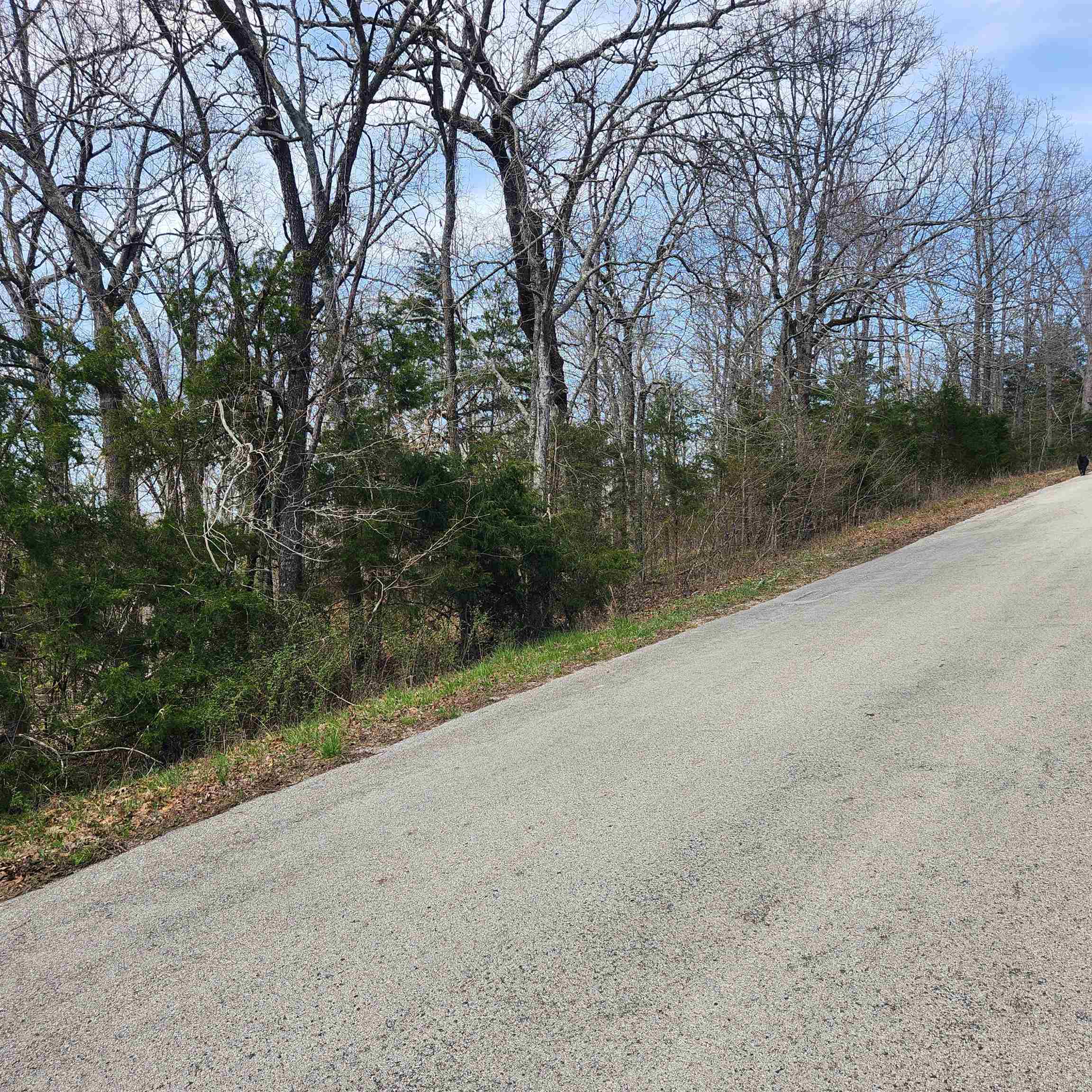 Photo 11 - Vacant Land for sale – L-2 B-11  Flathead   Cherokee Village, AR