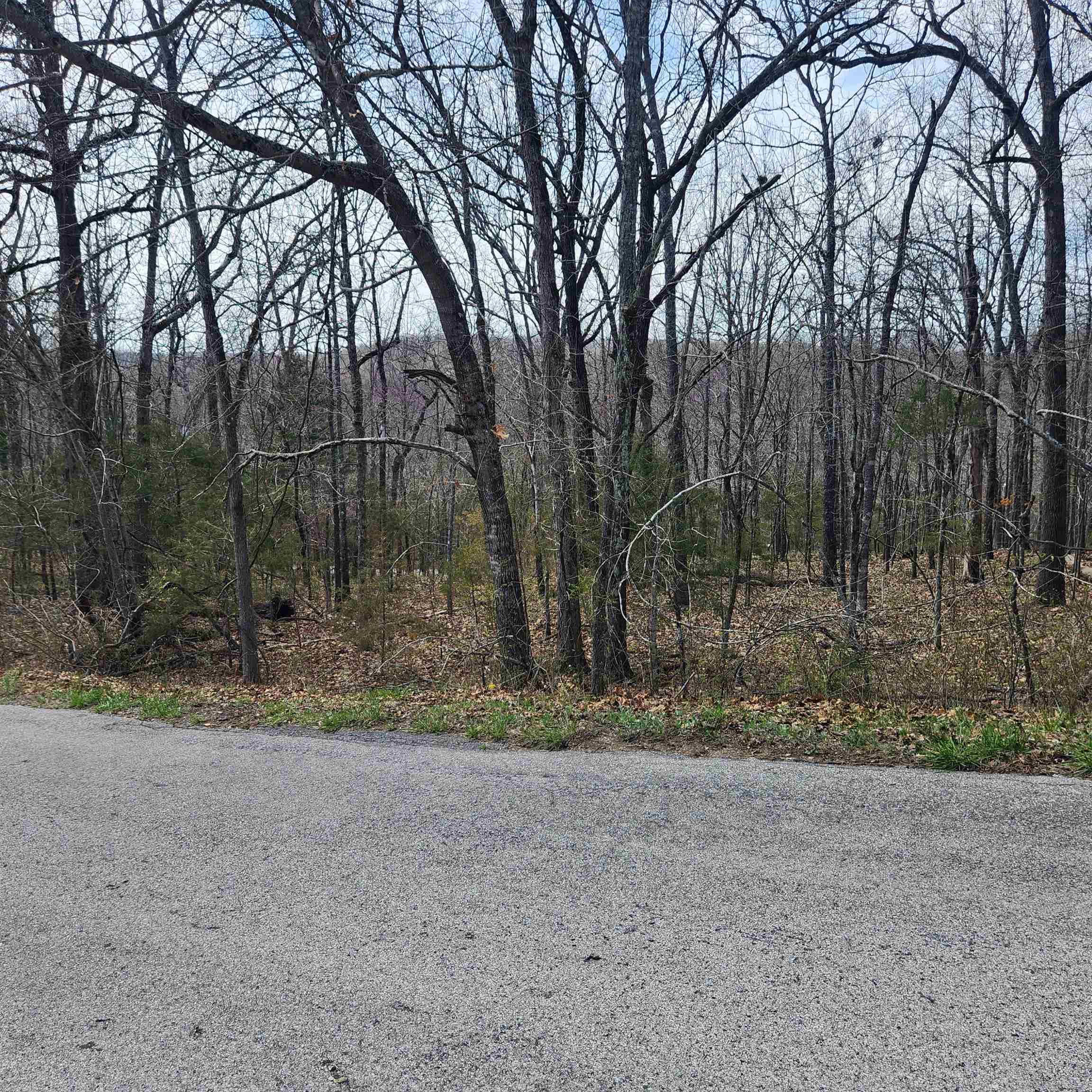 Photo 3 - Vacant Land for sale – L-2 B-11  Flathead   Cherokee Village, AR