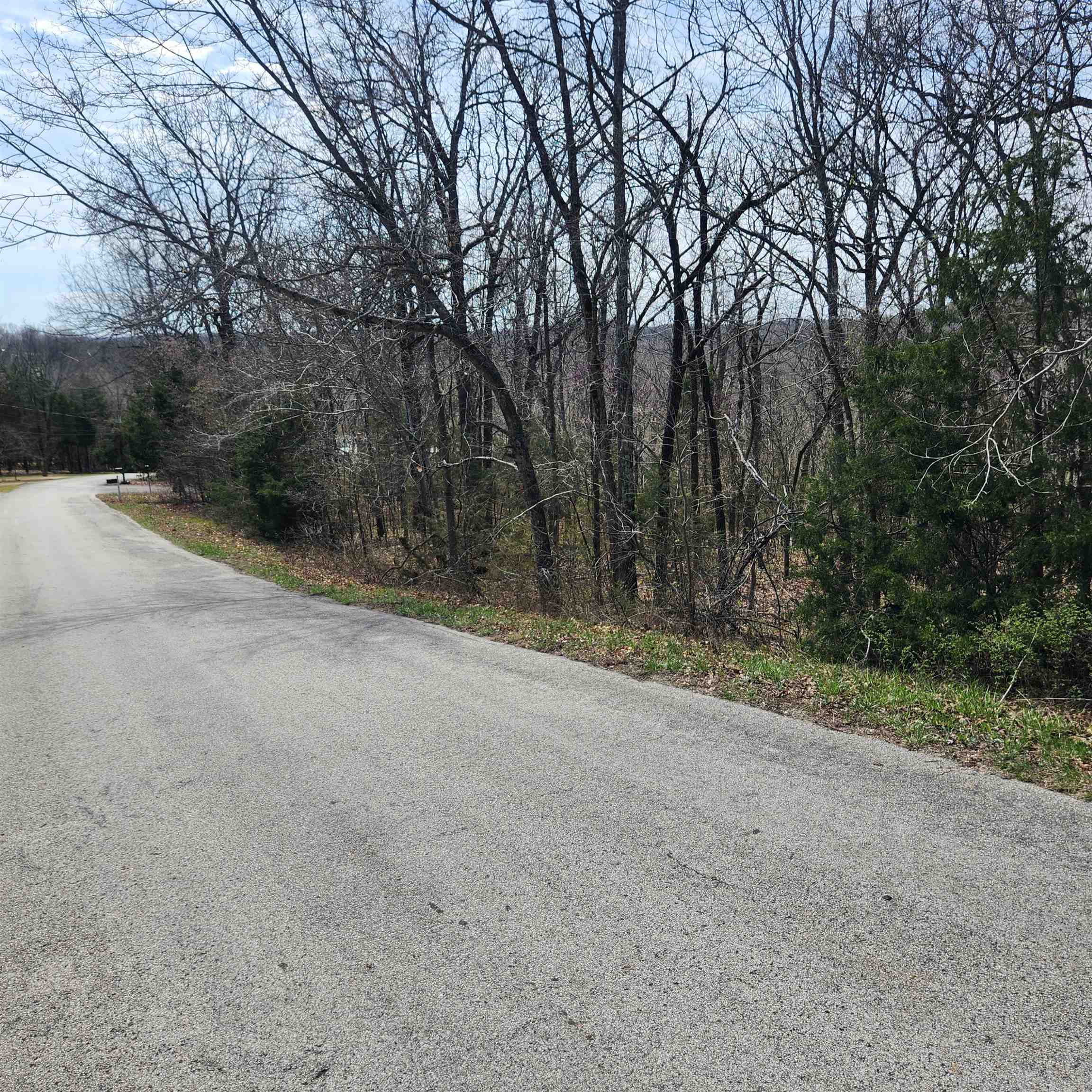 Photo 4 - Vacant Land for sale – L-2 B-11  Flathead   Cherokee Village, AR