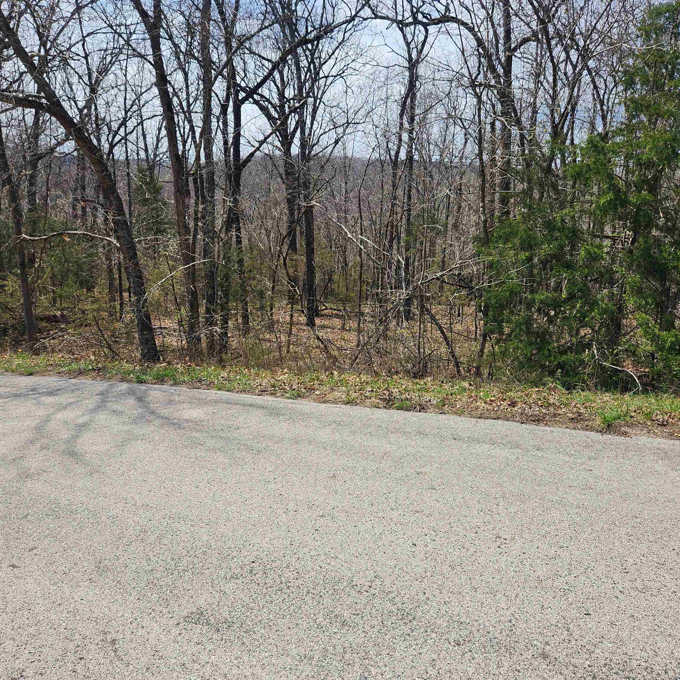 Photo 5 - Vacant Land for sale – L-2 B-11  Flathead   Cherokee Village, AR
