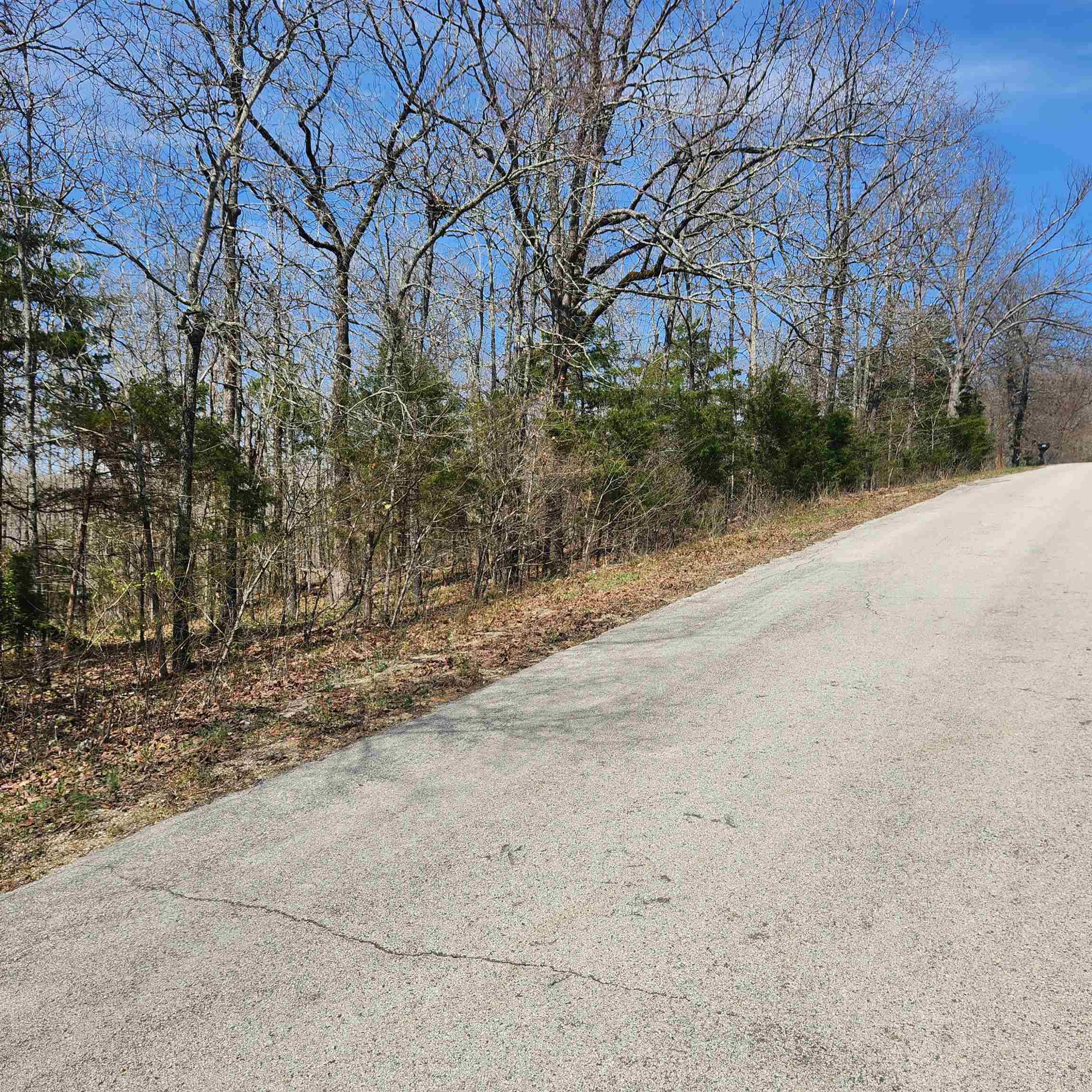 Photo 6 - Vacant Land for sale – L-2 B-11  Flathead   Cherokee Village, AR