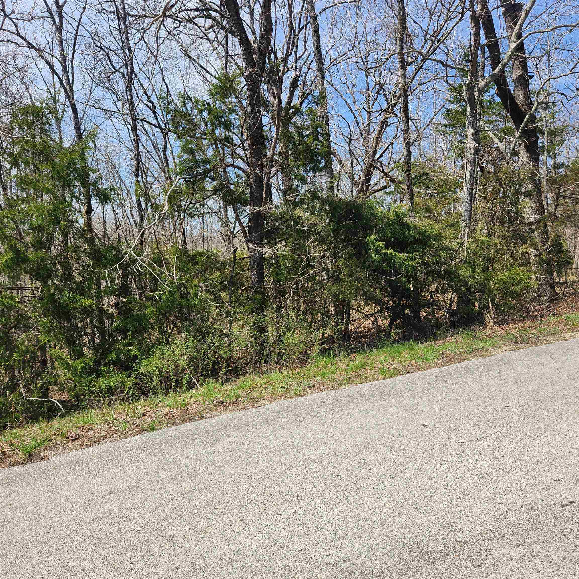 Photo 7 - Vacant Land for sale – L-2 B-11  Flathead   Cherokee Village, AR