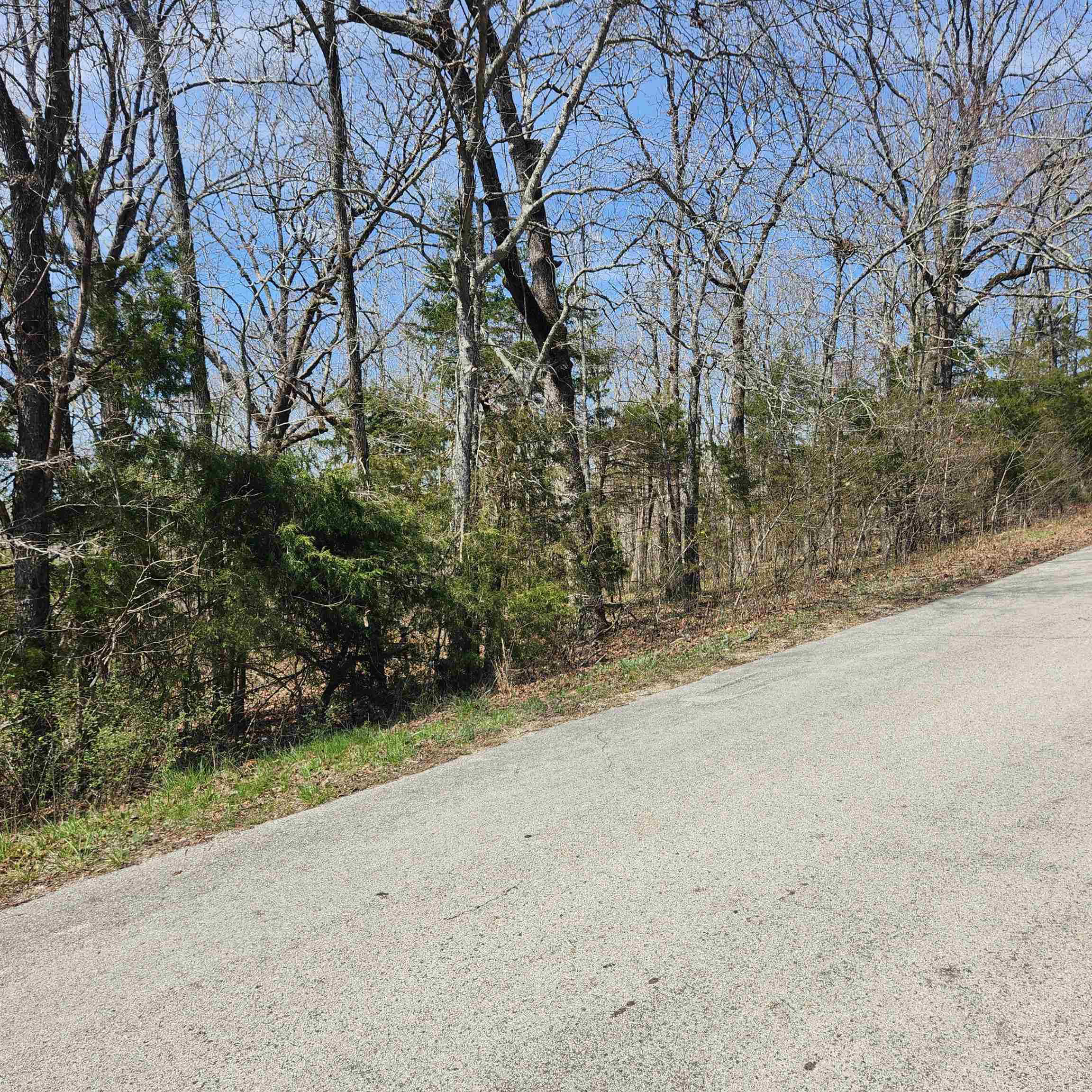 Photo 8 - Vacant Land for sale – L-2 B-11  Flathead   Cherokee Village, AR