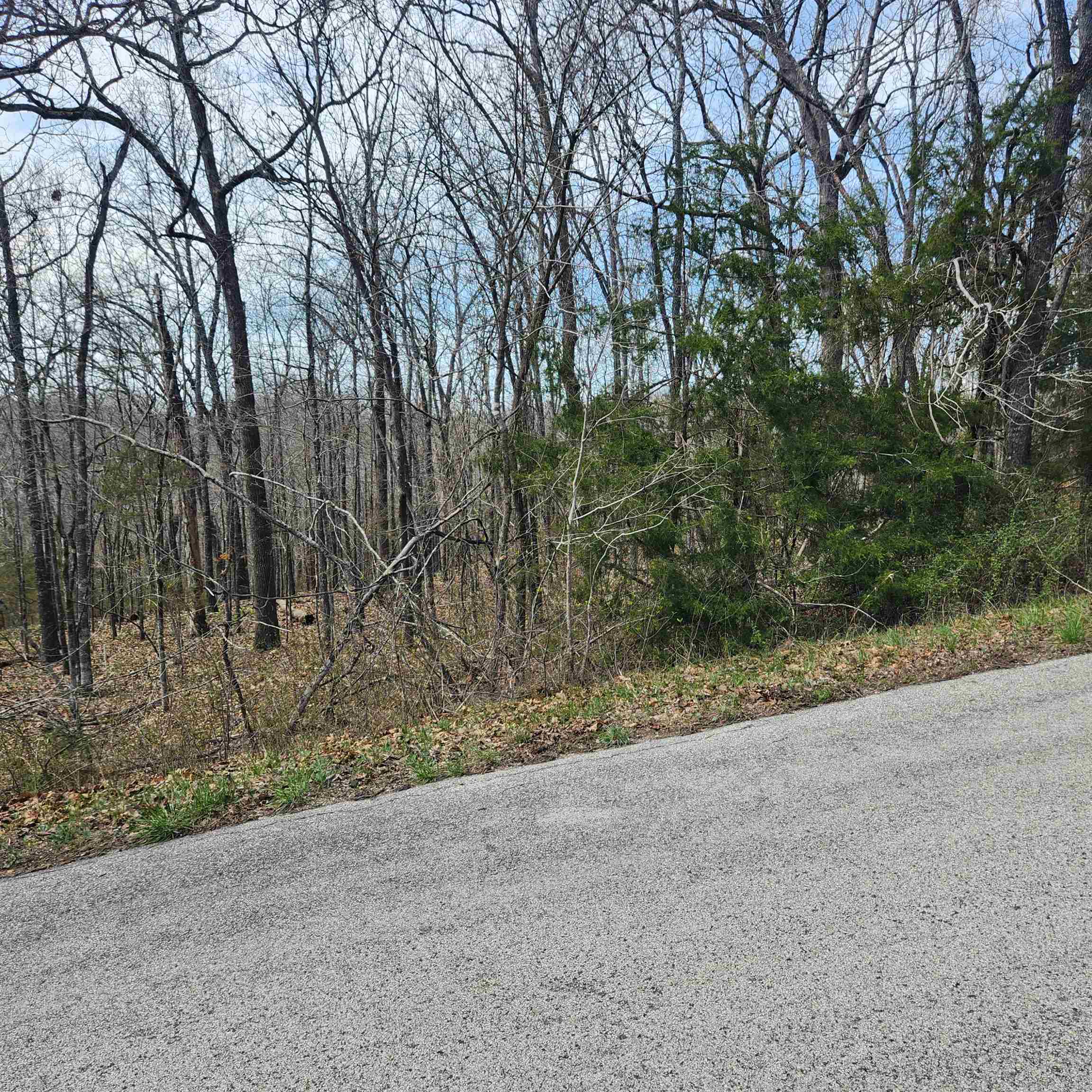 Photo 9 - Vacant Land for sale – L-2 B-11  Flathead   Cherokee Village, AR