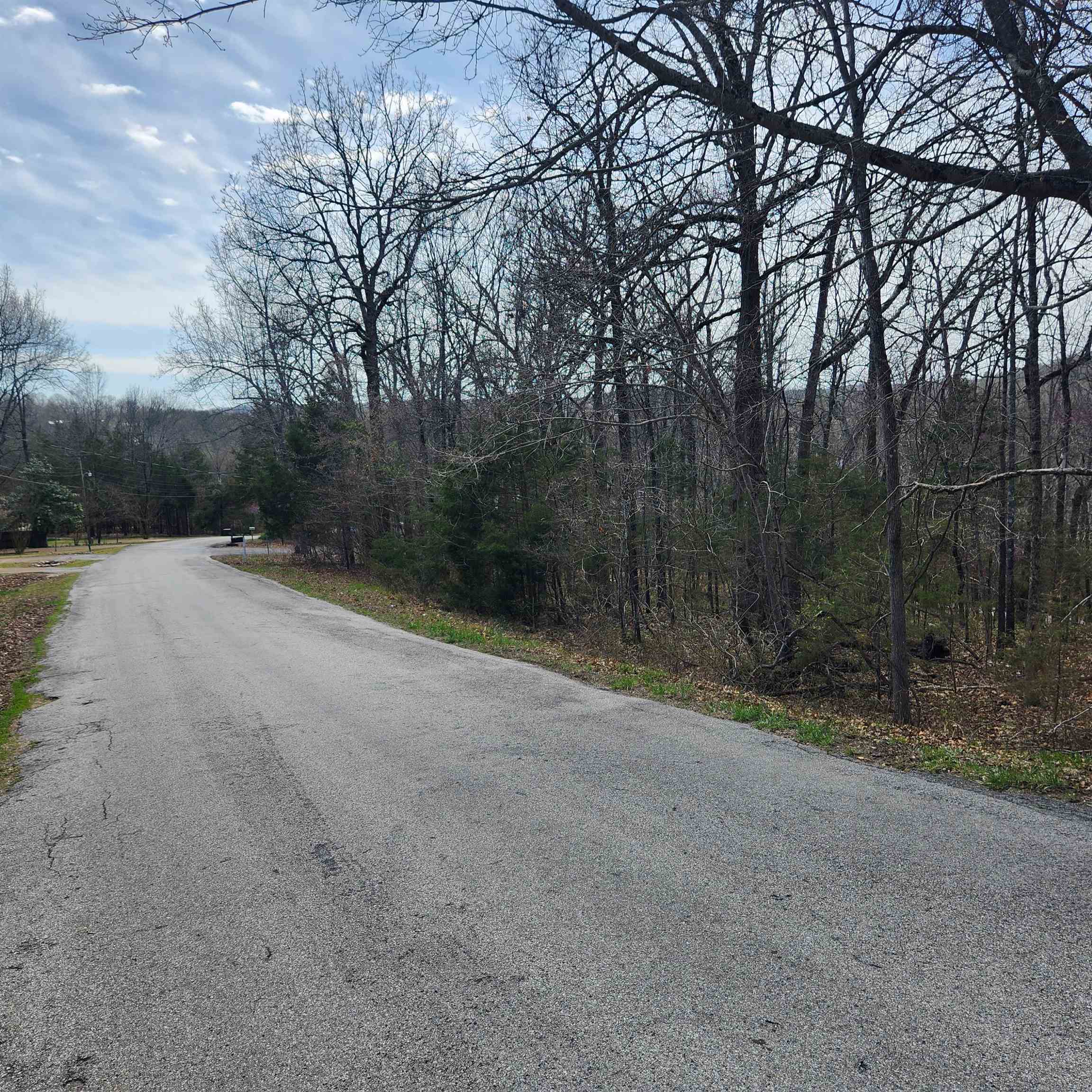 Photo 10 - Vacant Land for sale – L-2 B-11  Flathead   Cherokee Village, AR