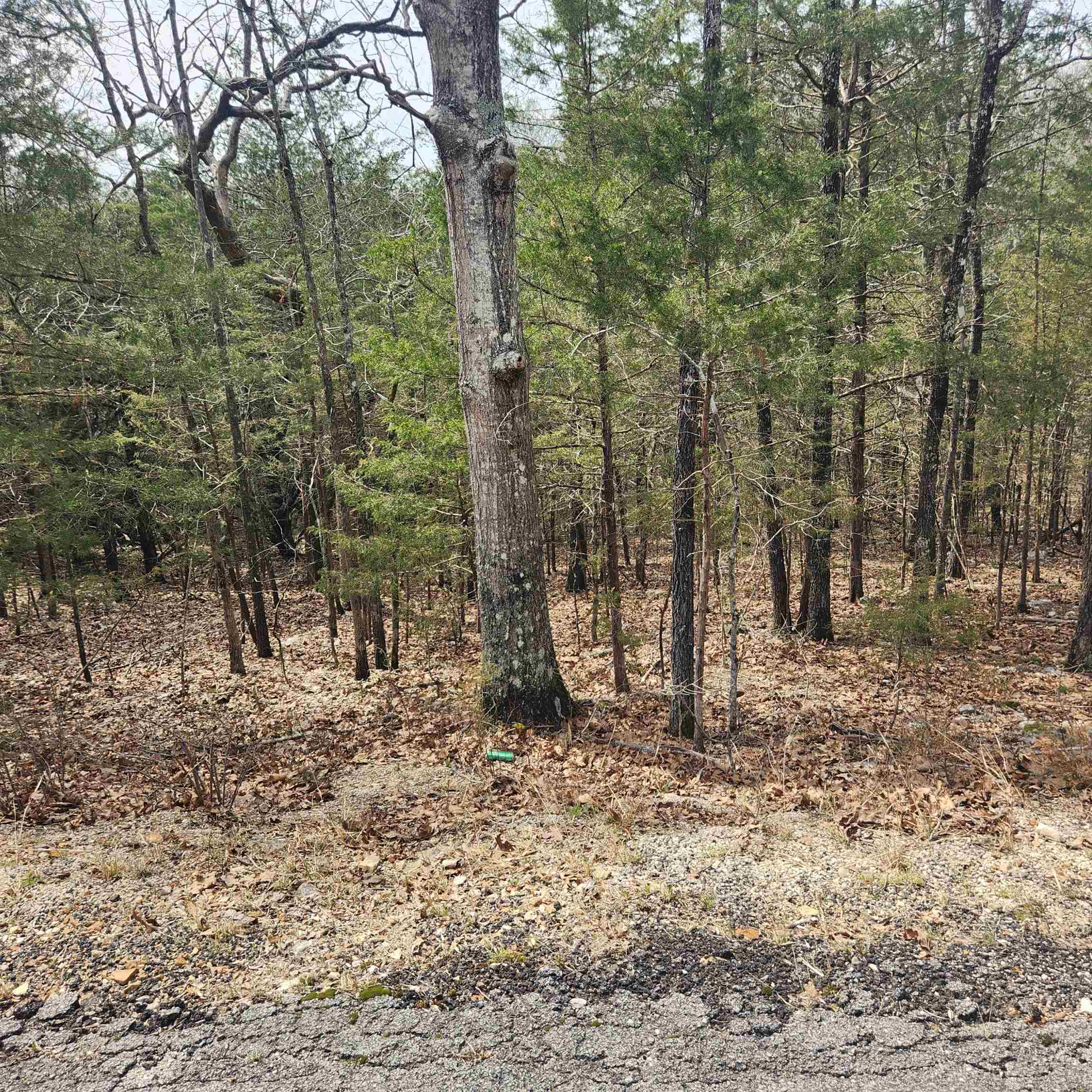 Vacant Land for sale – L6, B12  Cochise   Cherokee Village, AR