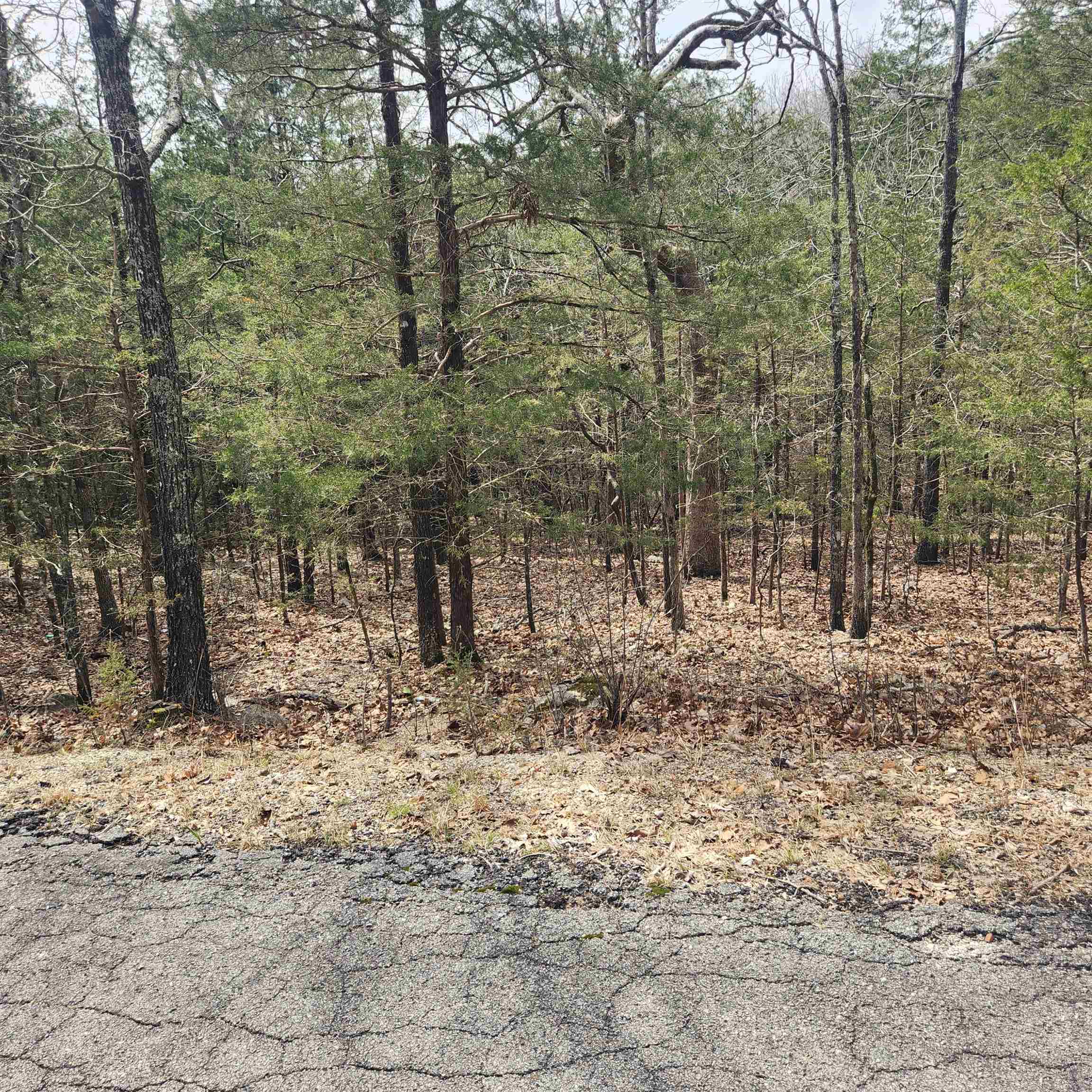 Photo 3 - Vacant Land for sale – L6, B12  Cochise   Cherokee Village, AR