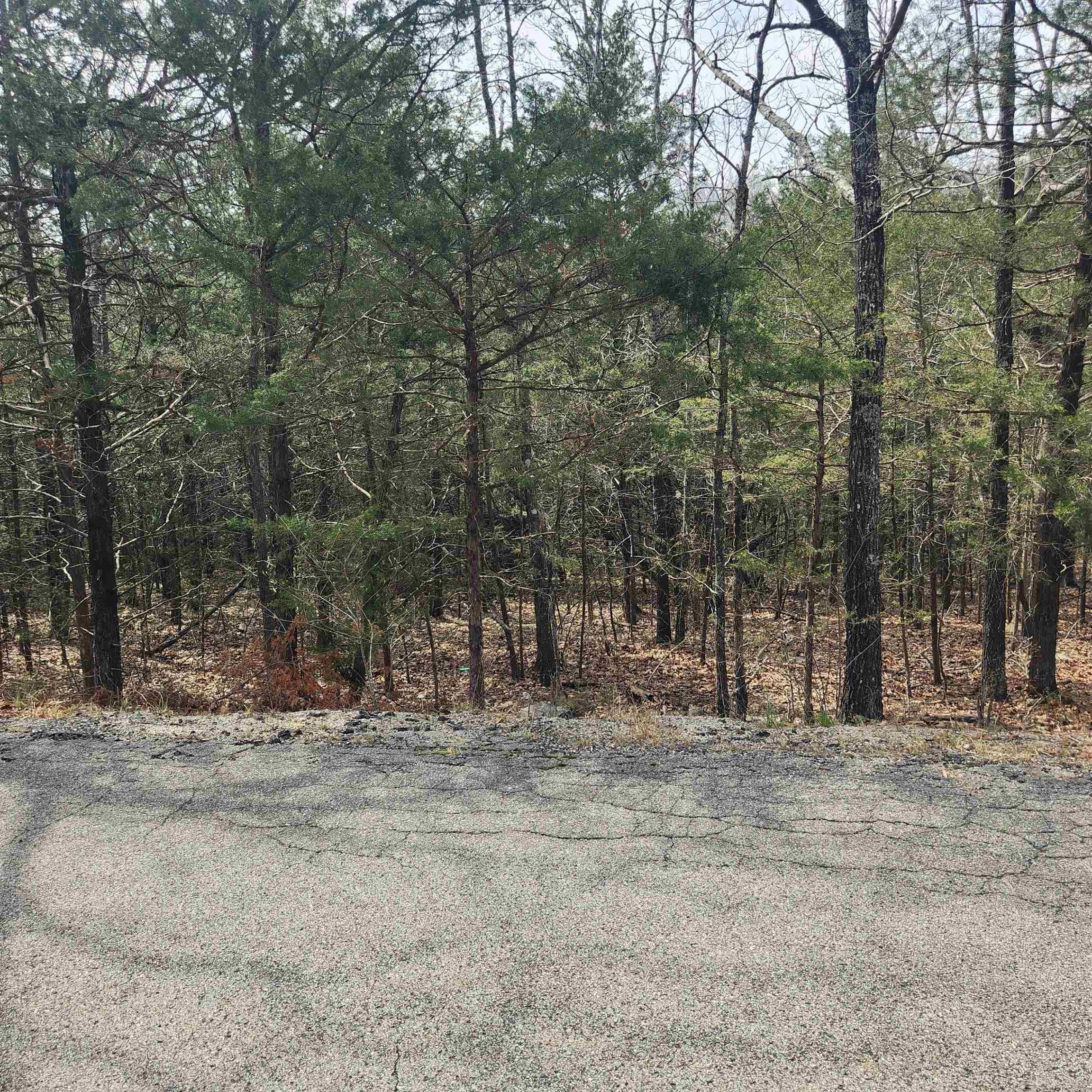Photo 4 - Vacant Land for sale – L6, B12  Cochise   Cherokee Village, AR