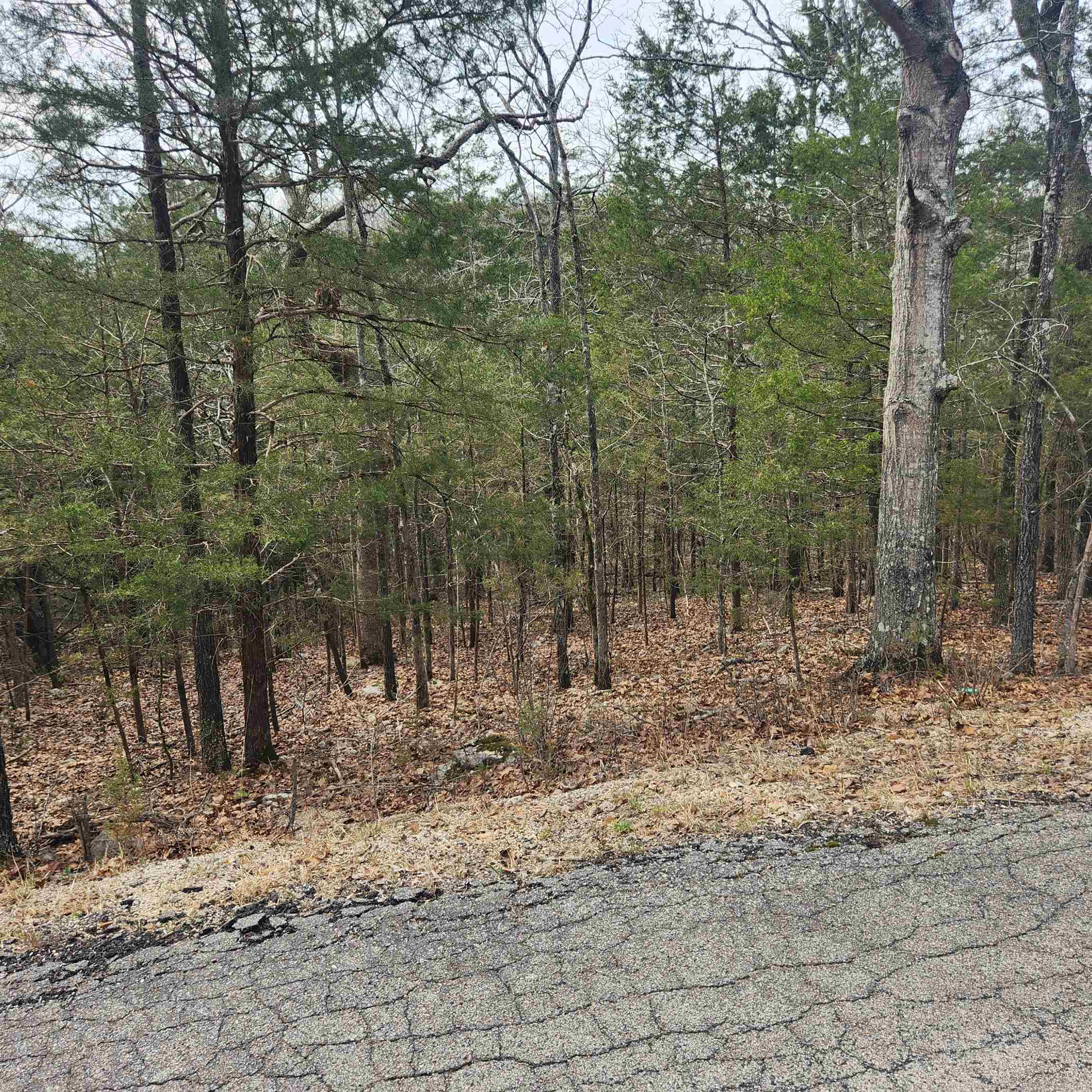 Photo 5 - Vacant Land for sale – L6, B12  Cochise   Cherokee Village, AR