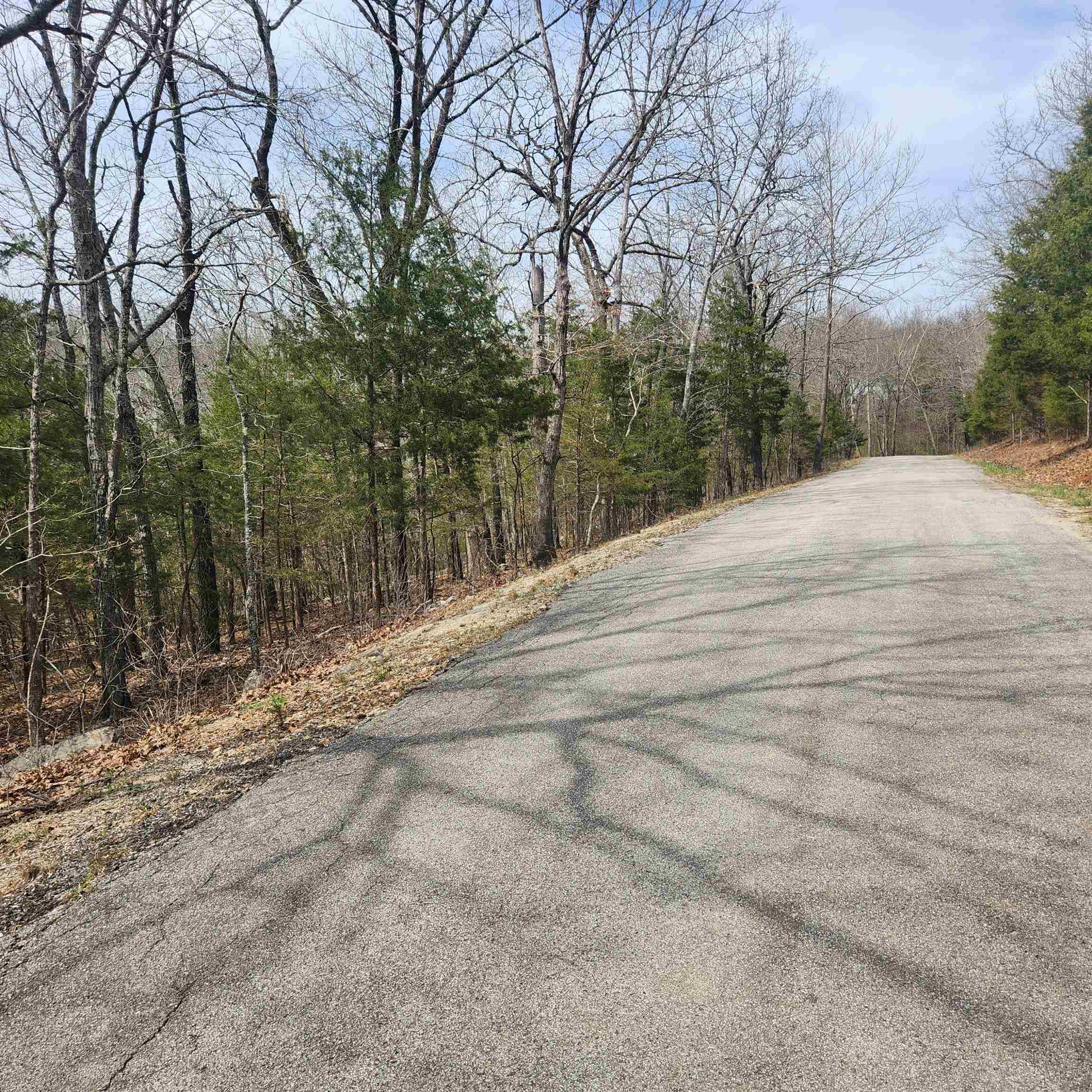 Photo 6 - Vacant Land for sale – L6, B12  Cochise   Cherokee Village, AR