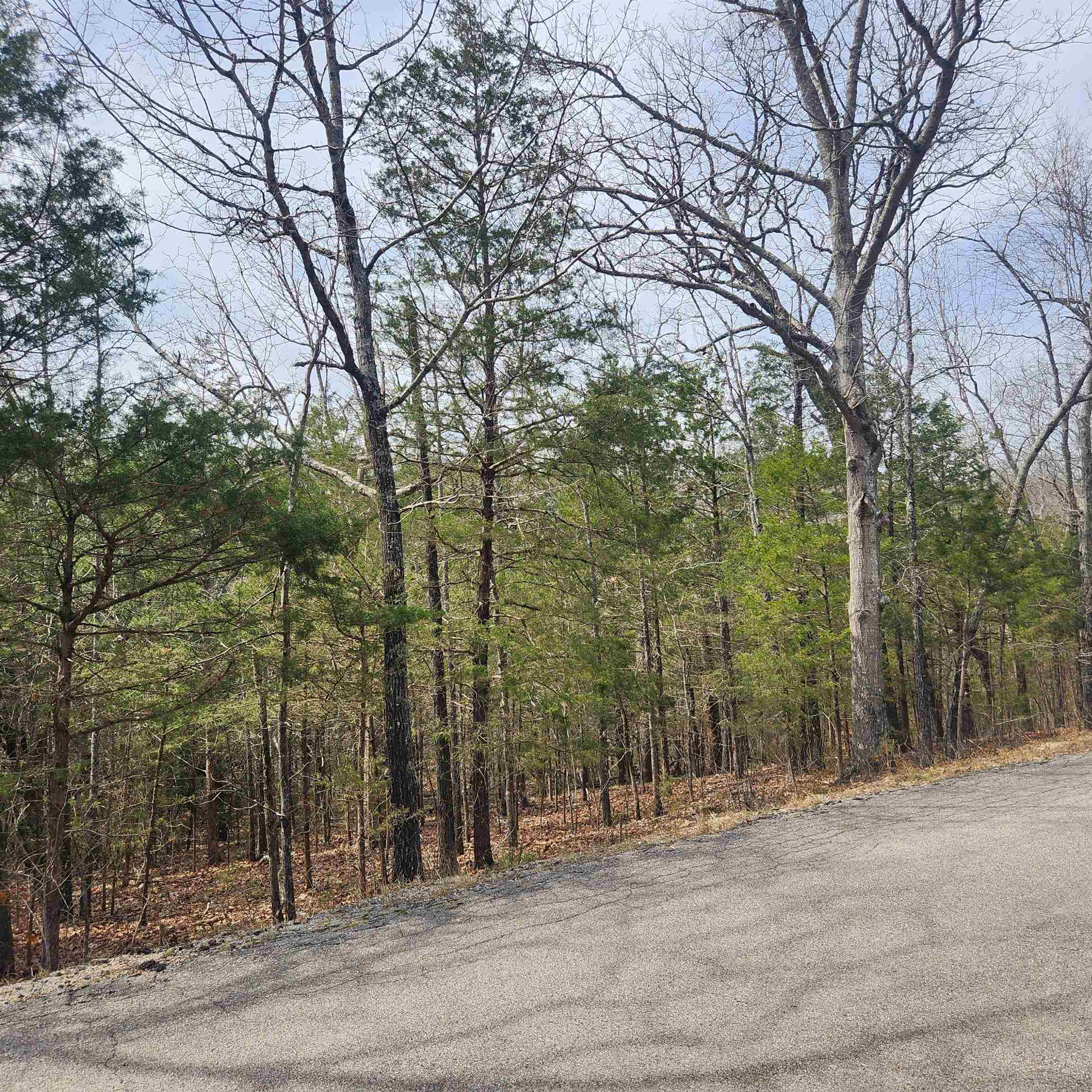 Photo 7 - Vacant Land for sale – L6, B12  Cochise   Cherokee Village, AR