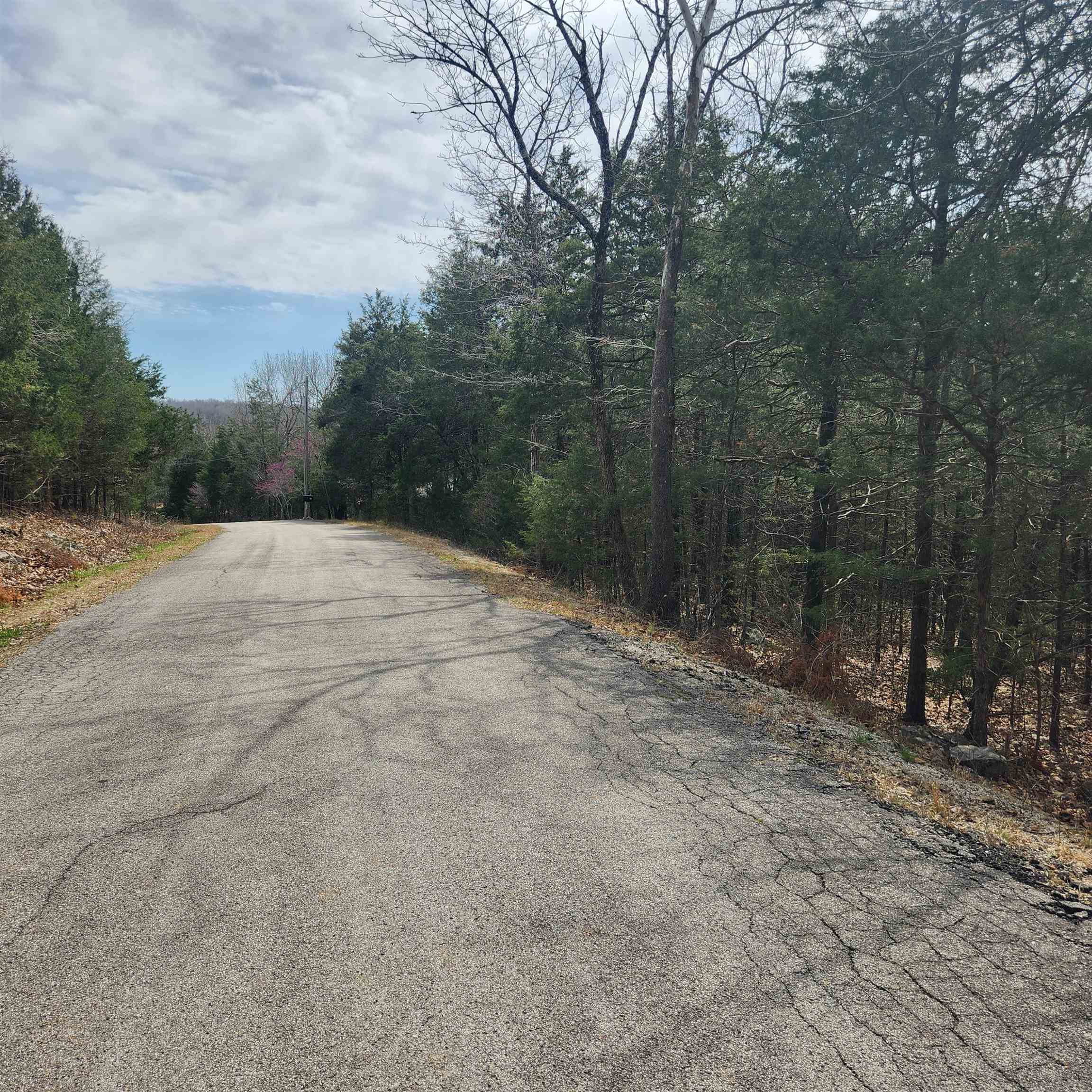 Photo 8 - Vacant Land for sale – L6, B12  Cochise   Cherokee Village, AR