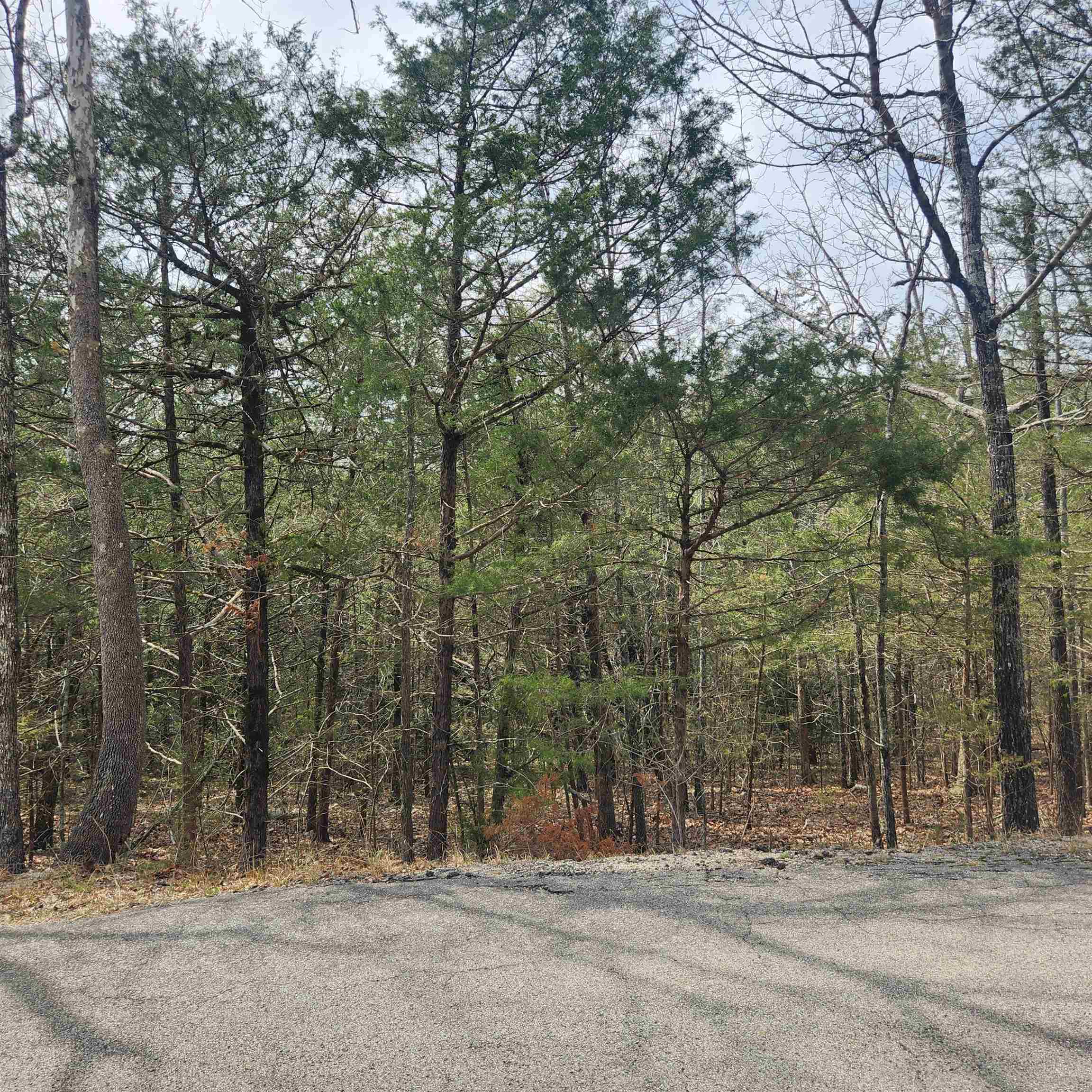 Photo 10 - Vacant Land for sale – L6, B12  Cochise   Cherokee Village, AR