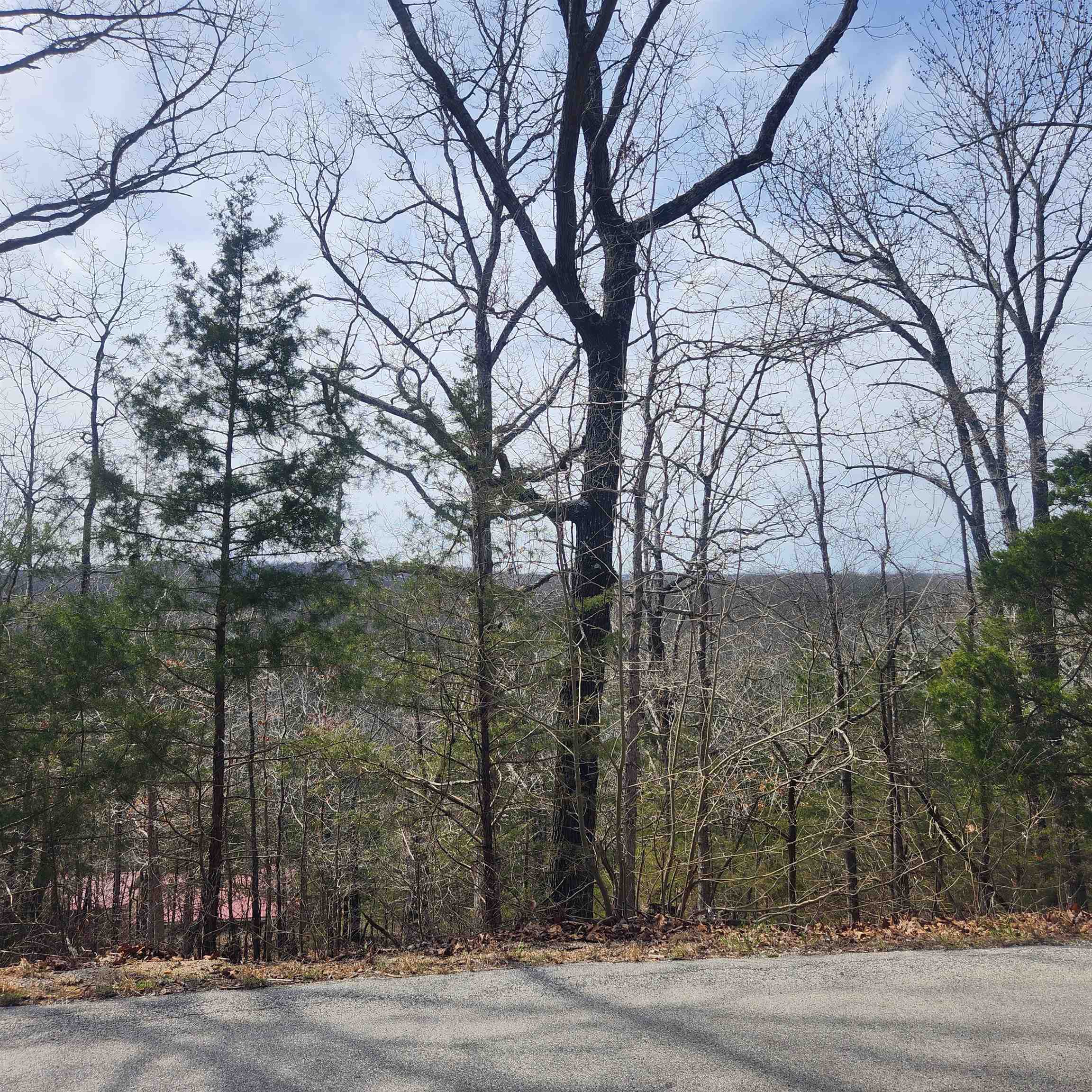 Vacant Land for sale – L-13, B11  Flathead   Cherokee Village, AR