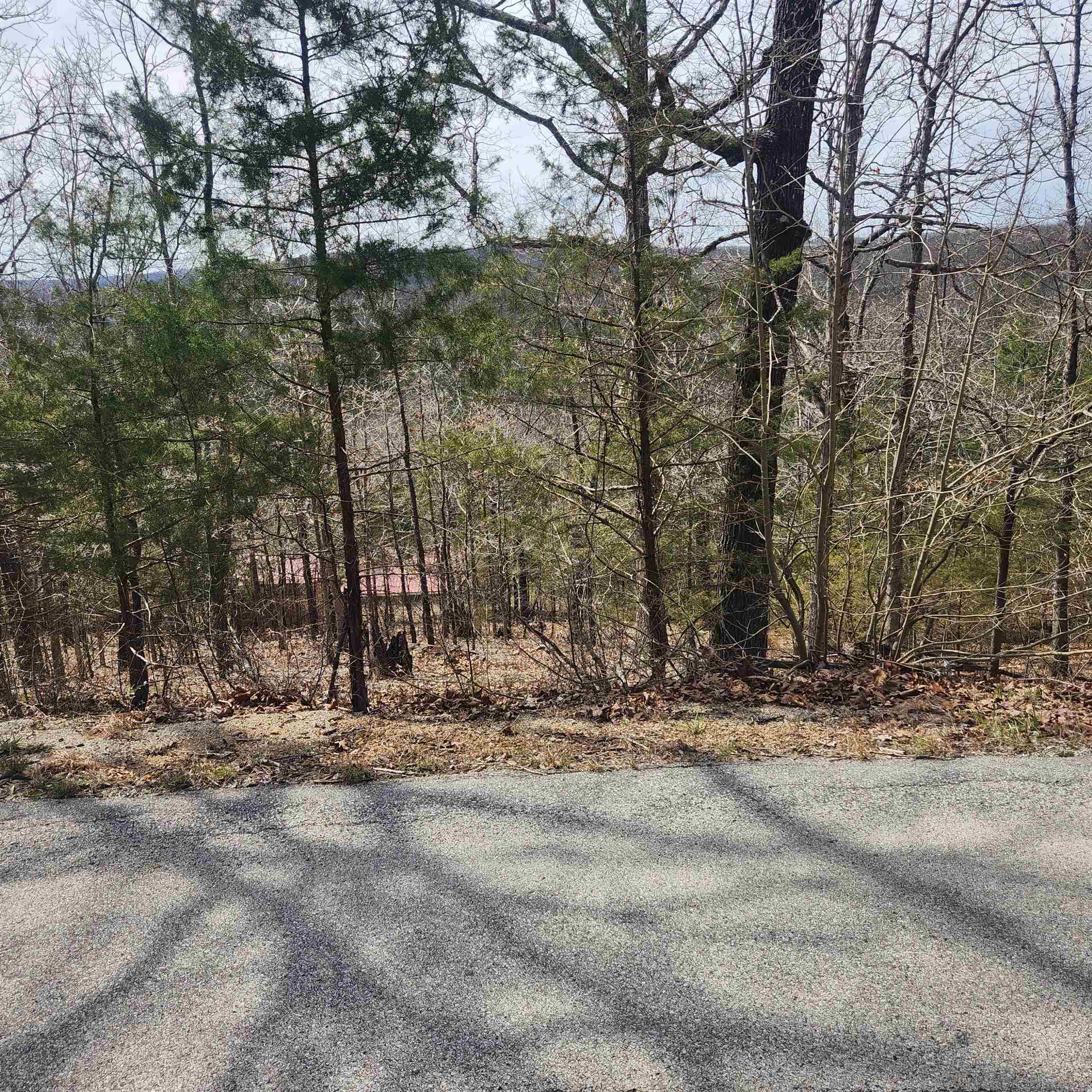 Photo 2 - Vacant Land for sale – L-13, B11  Flathead   Cherokee Village, AR
