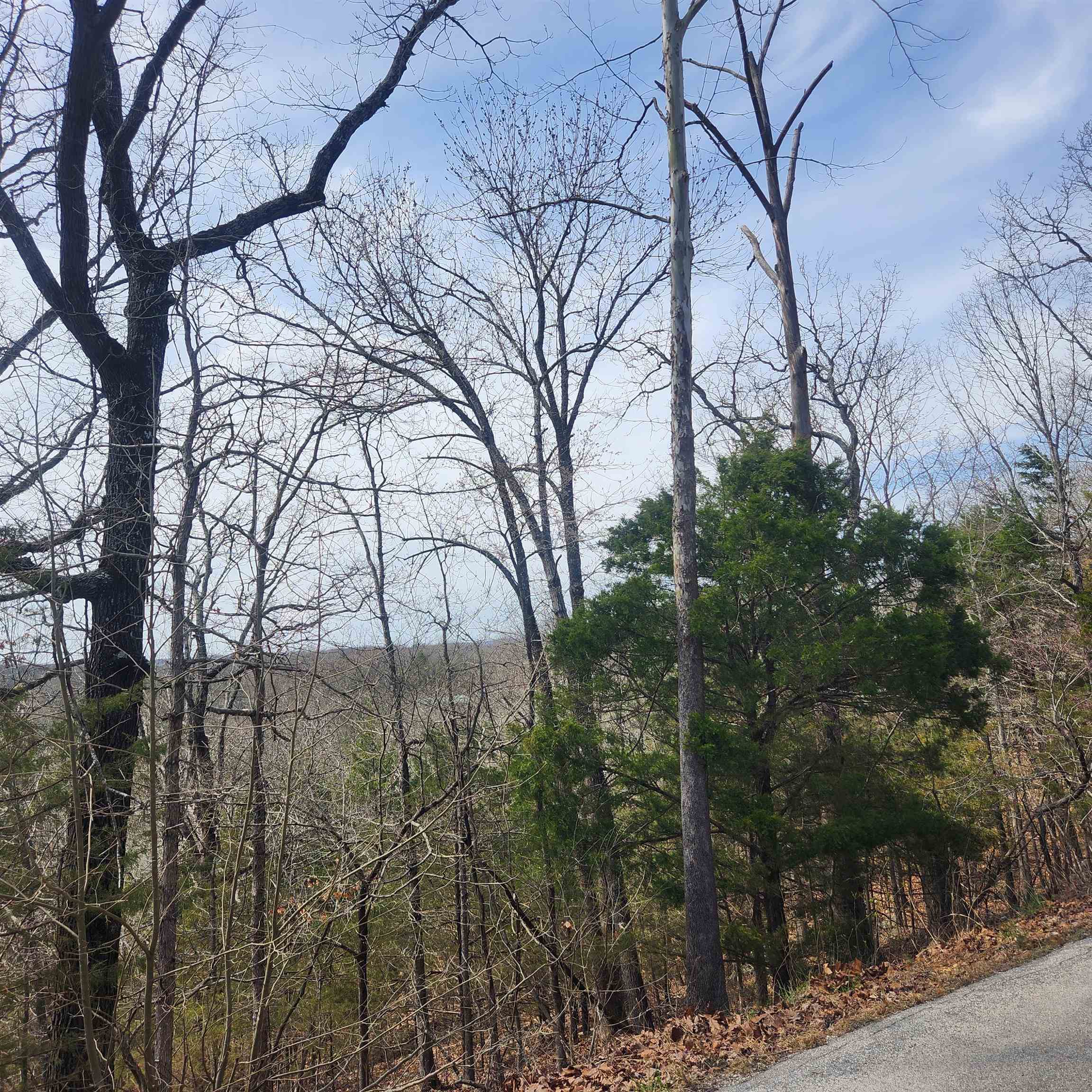 Photo 3 - Vacant Land for sale – L-13, B11  Flathead   Cherokee Village, AR