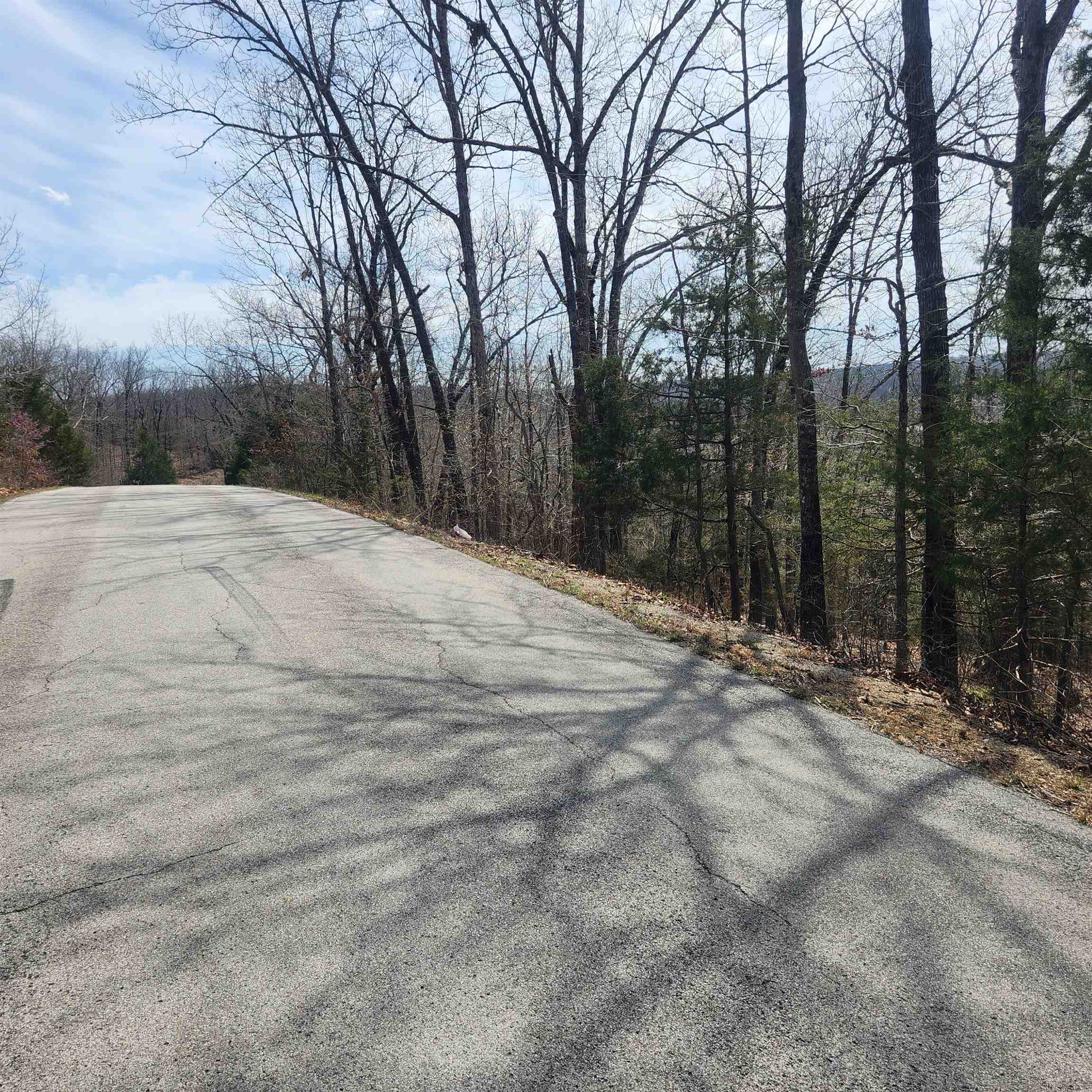 Photo 4 - Vacant Land for sale – L-13, B11  Flathead   Cherokee Village, AR