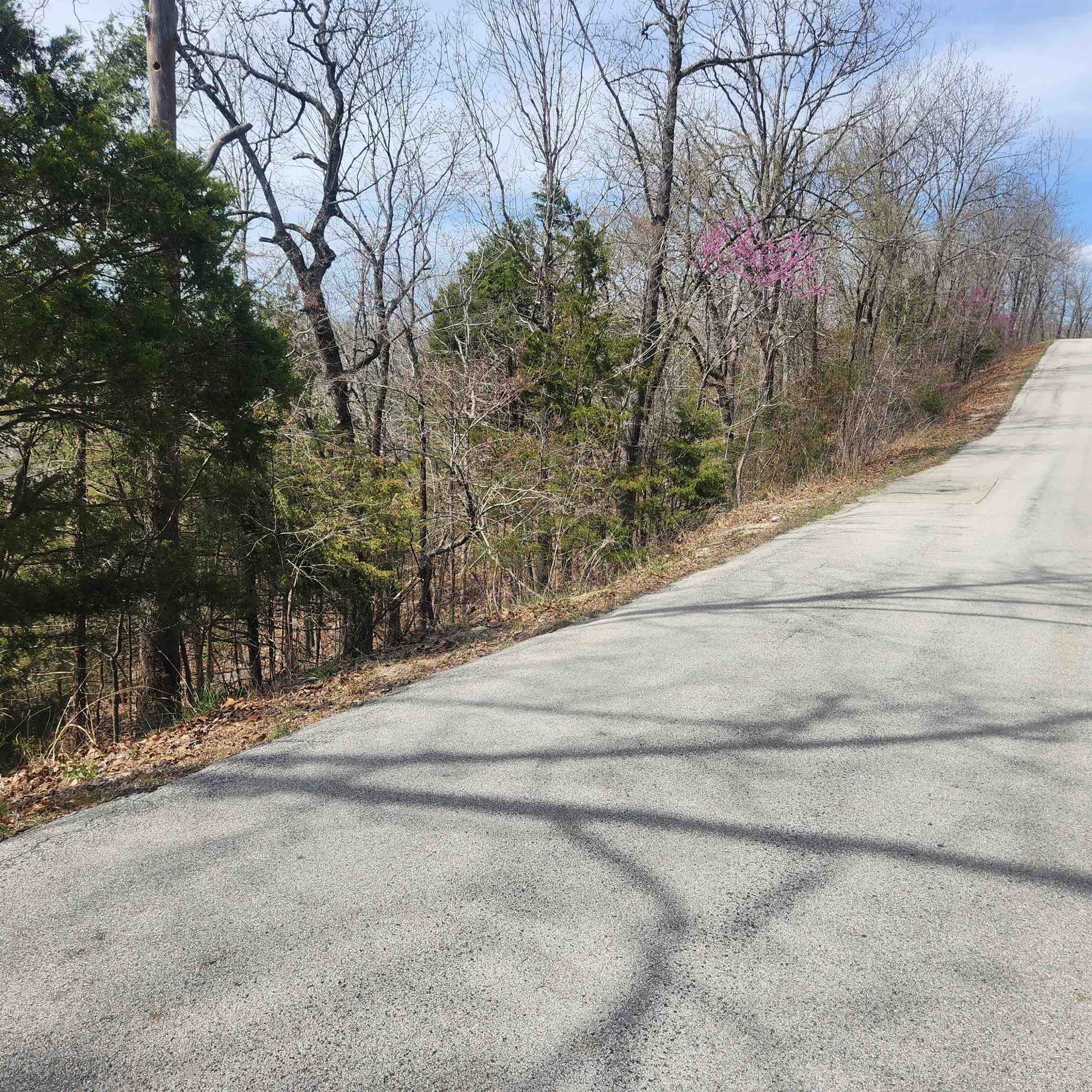 Photo 5 - Vacant Land for sale – L-13, B11  Flathead   Cherokee Village, AR