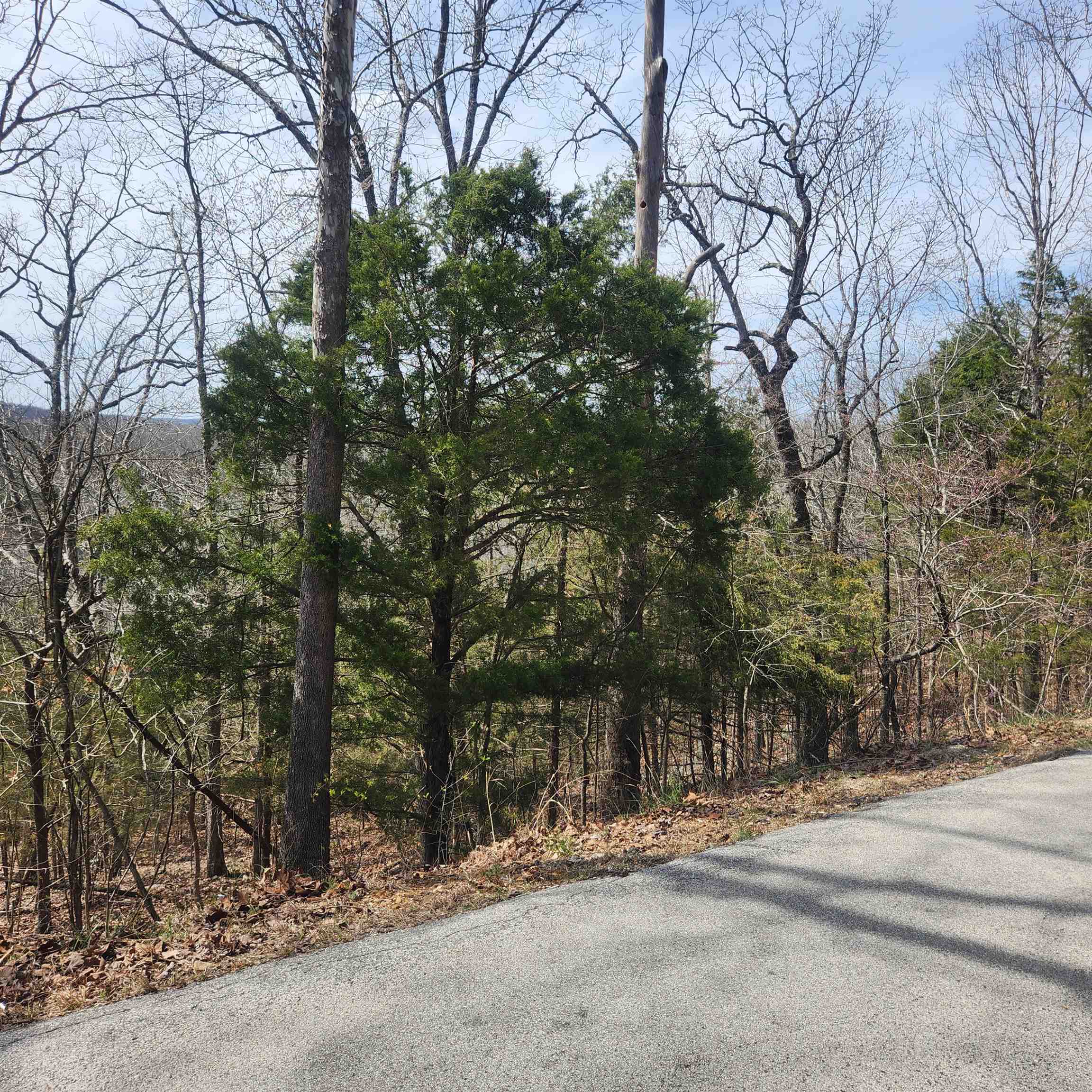Photo 6 - Vacant Land for sale – L-13, B11  Flathead   Cherokee Village, AR