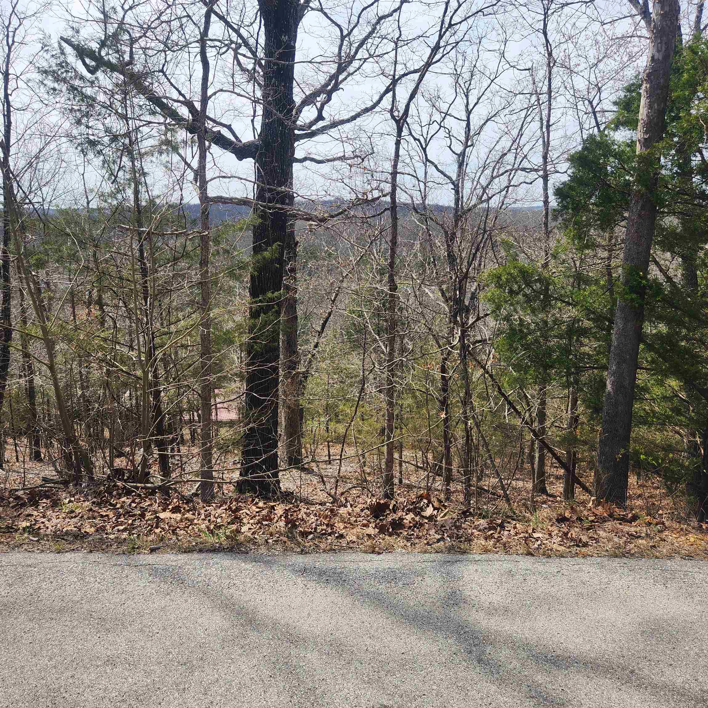 Photo 7 - Vacant Land for sale – L-13, B11  Flathead   Cherokee Village, AR
