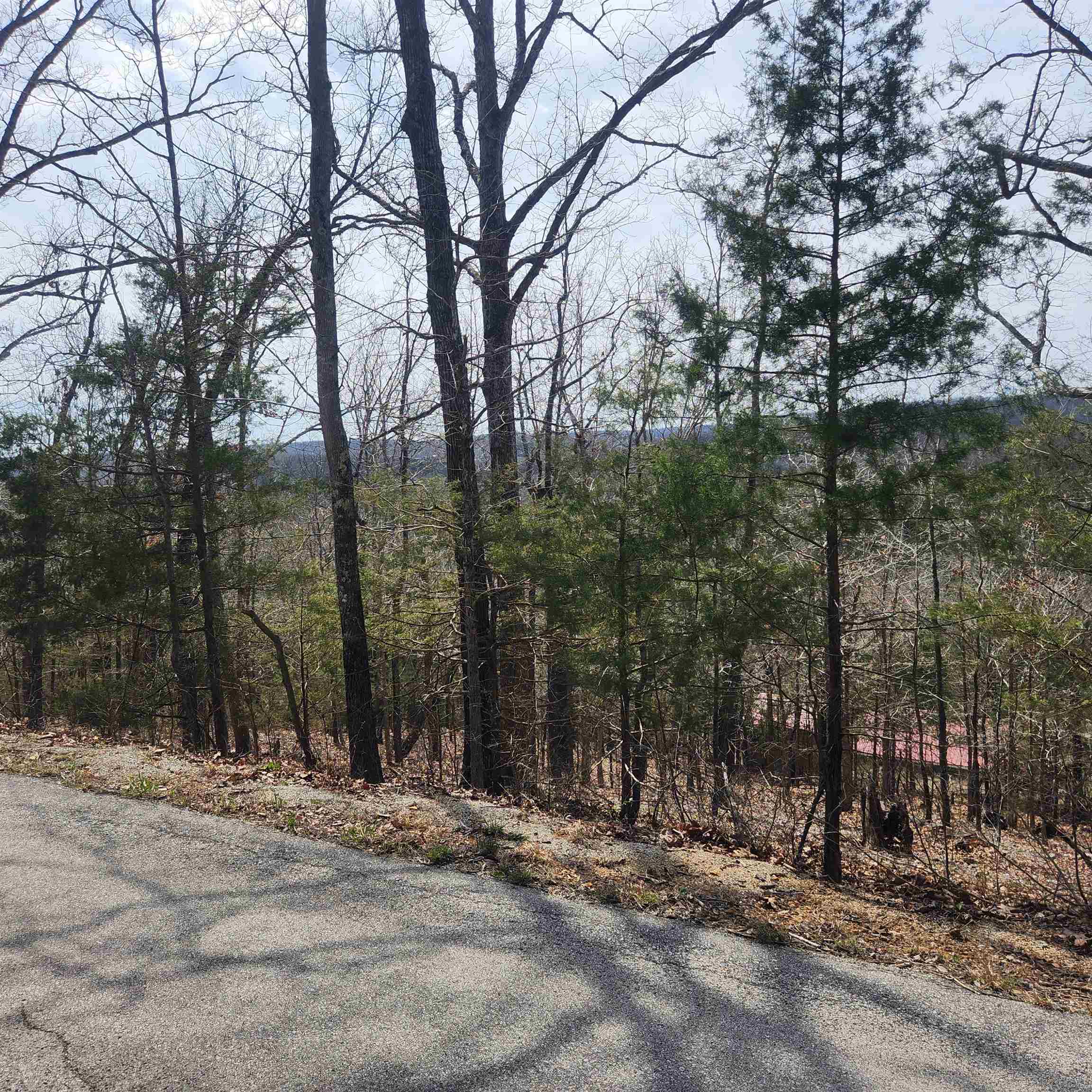 Photo 8 - Vacant Land for sale – L-13, B11  Flathead   Cherokee Village, AR