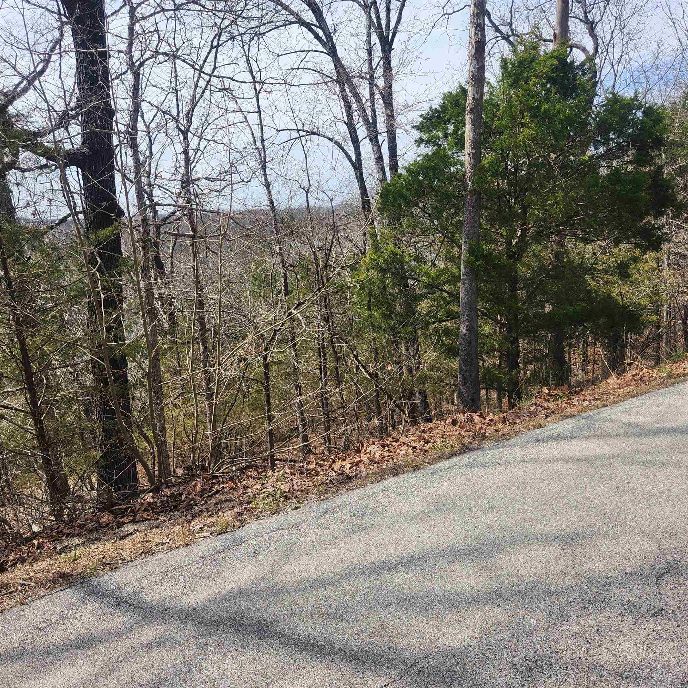 Photo 9 - Vacant Land for sale – L-13, B11  Flathead   Cherokee Village, AR
