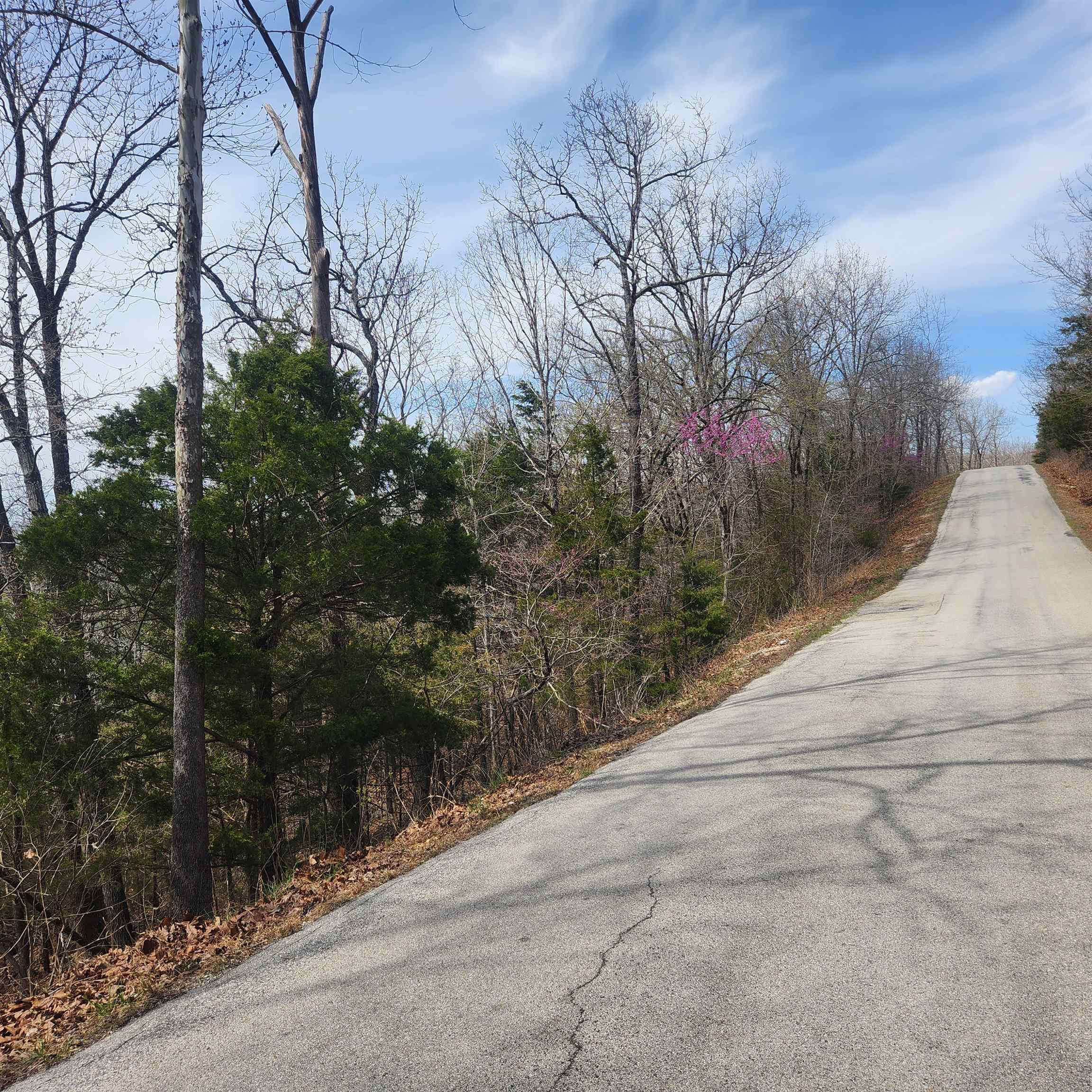 Photo 10 - Vacant Land for sale – L-13, B11  Flathead   Cherokee Village, AR