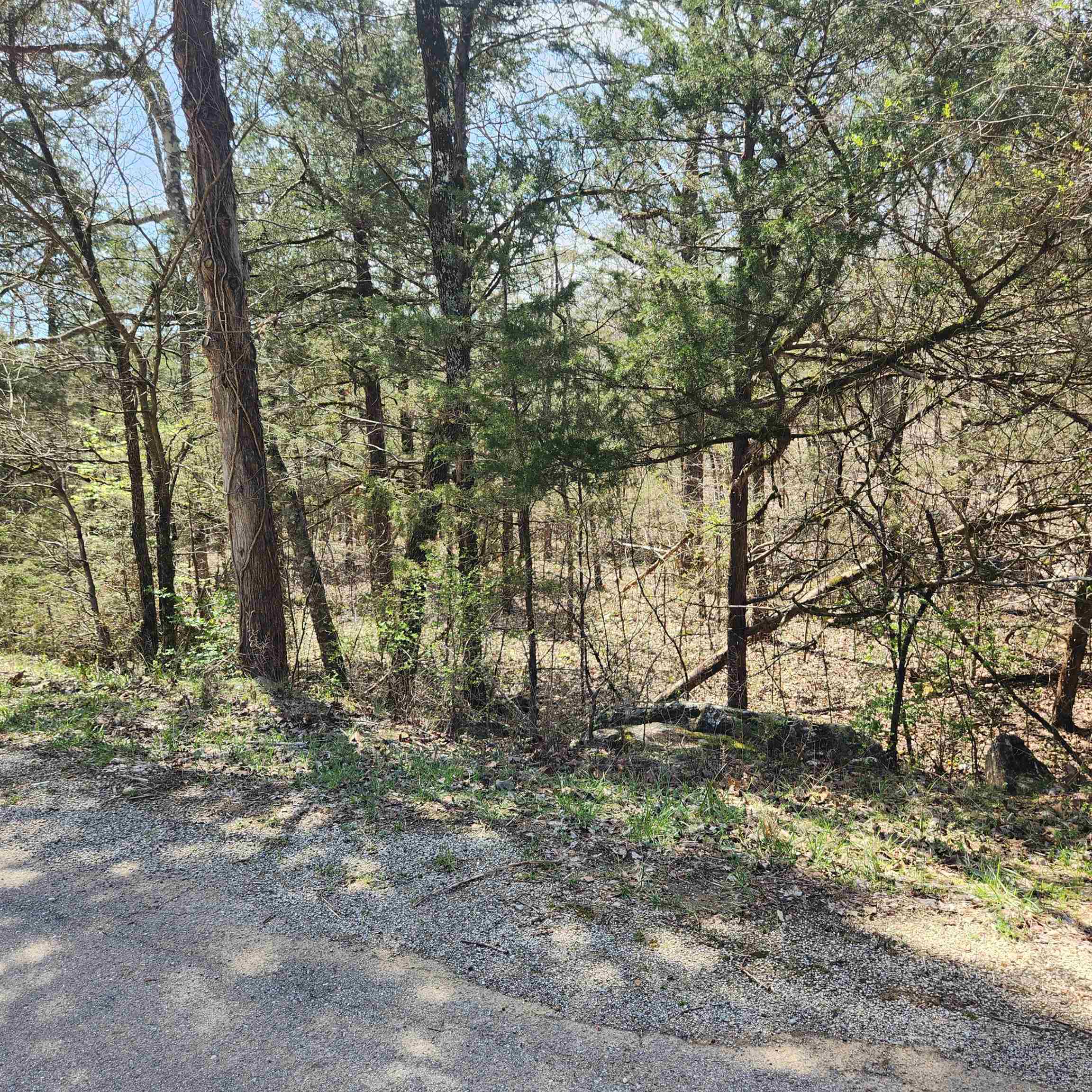 Vacant Land for sale – L 19 B 9  Ouachita   Cherokee Village, AR