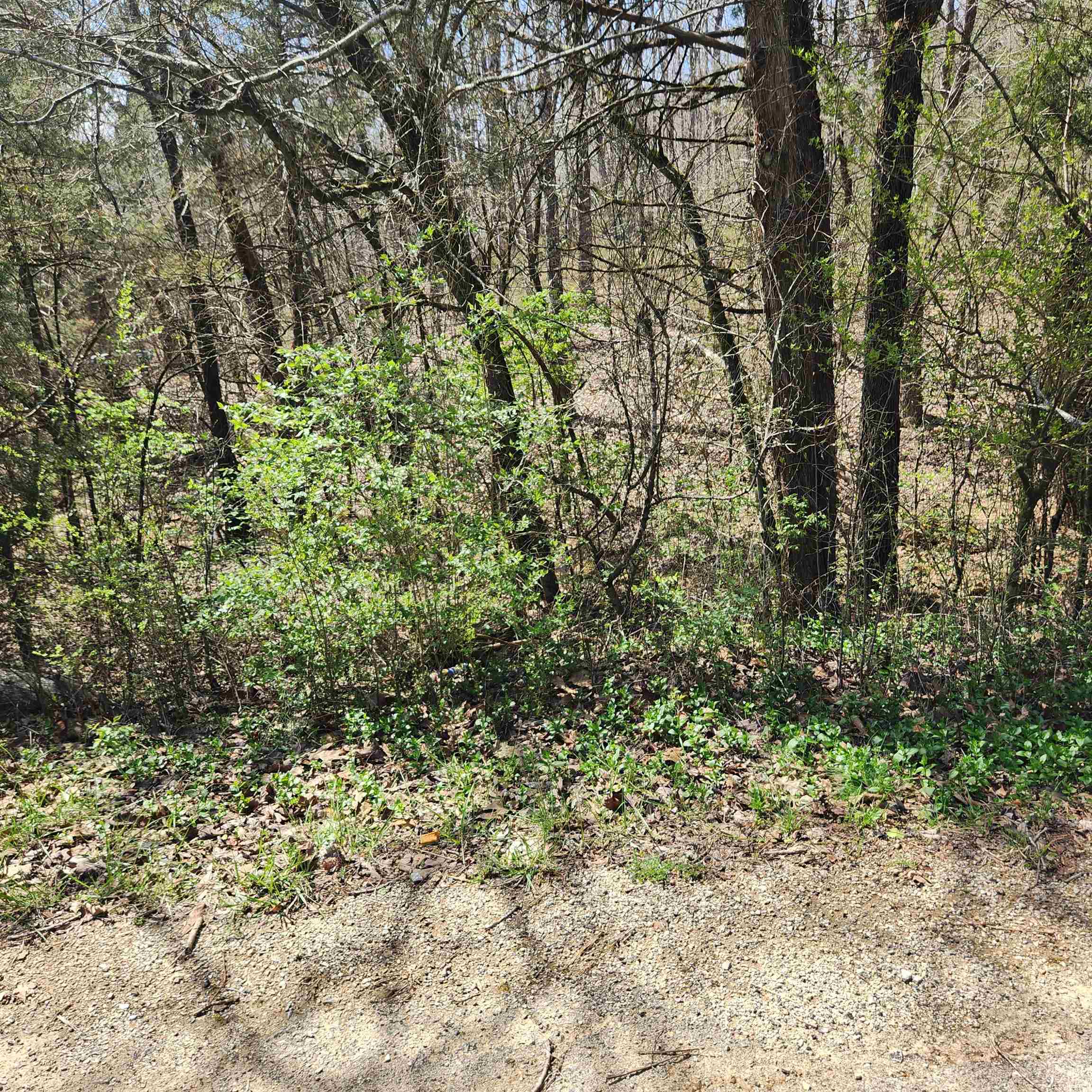 Photo 2 - Vacant Land for sale – L 19 B 9  Ouachita   Cherokee Village, AR
