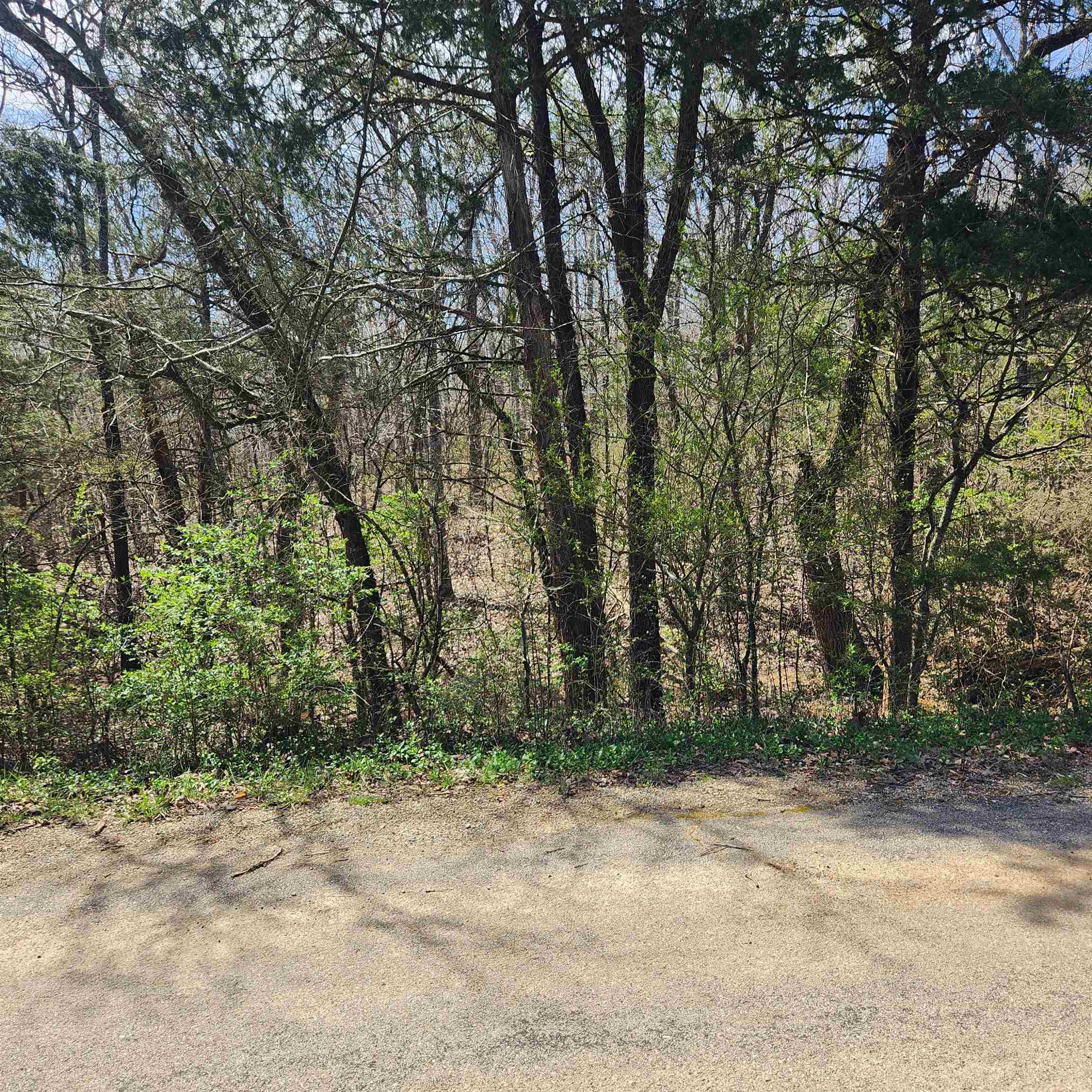 Photo 3 - Vacant Land for sale – L 19 B 9  Ouachita   Cherokee Village, AR