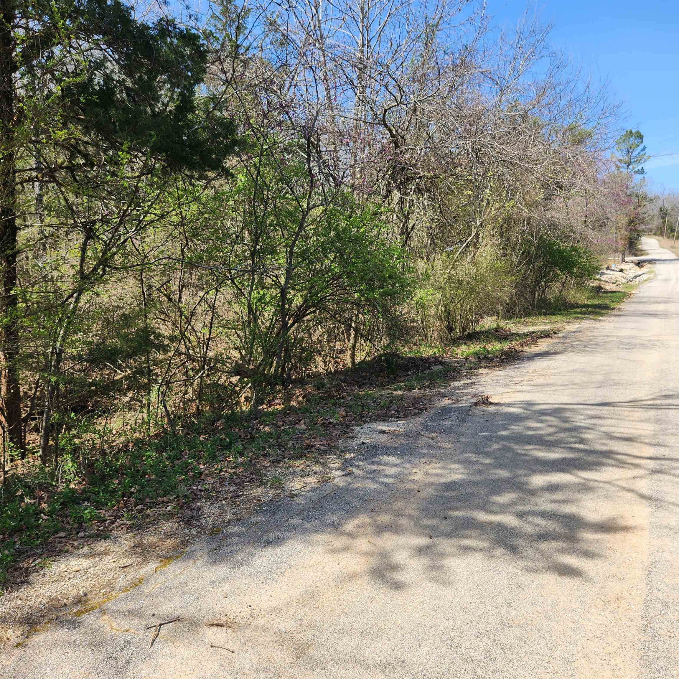 Photo 4 - Vacant Land for sale – L 19 B 9  Ouachita   Cherokee Village, AR