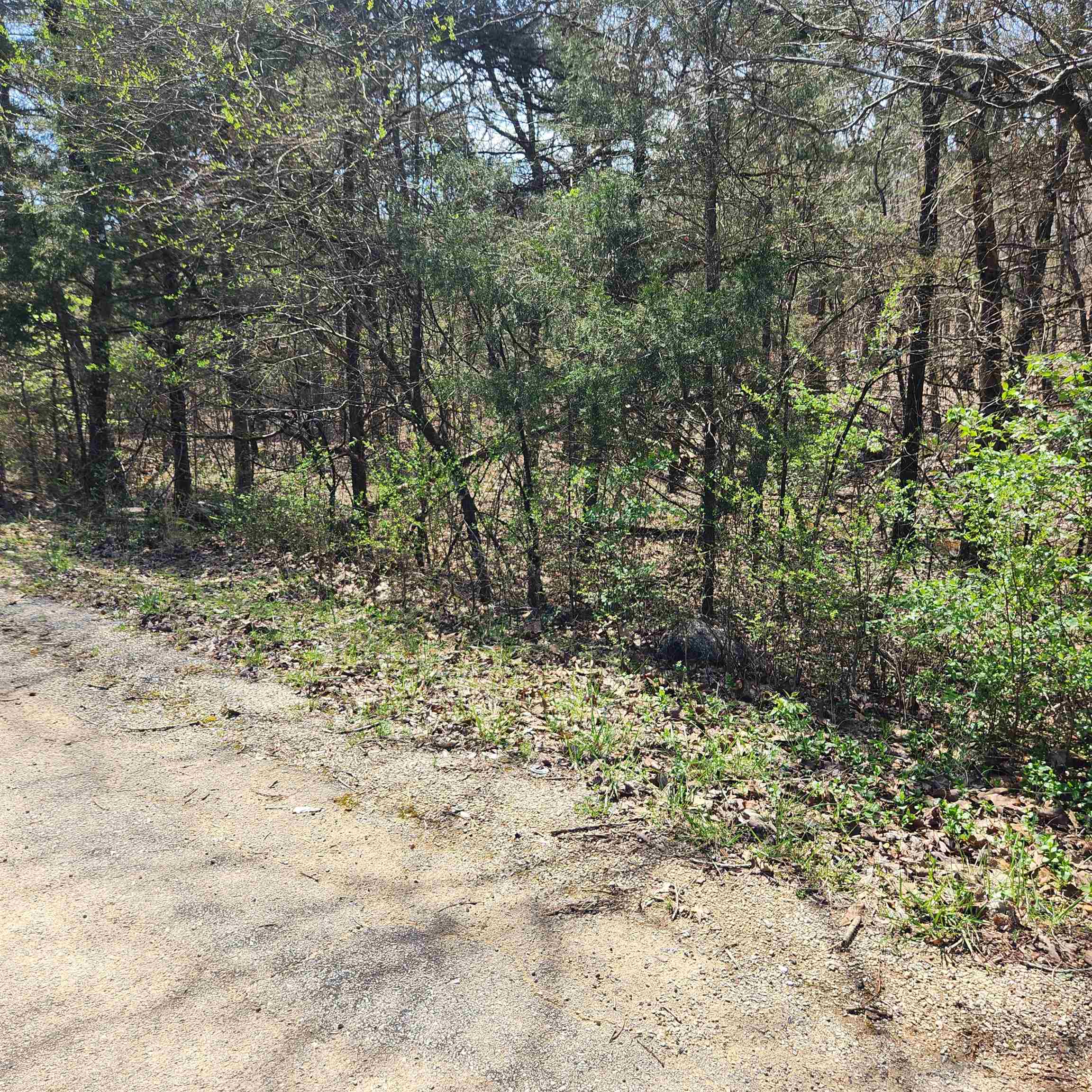 Photo 5 - Vacant Land for sale – L 19 B 9  Ouachita   Cherokee Village, AR