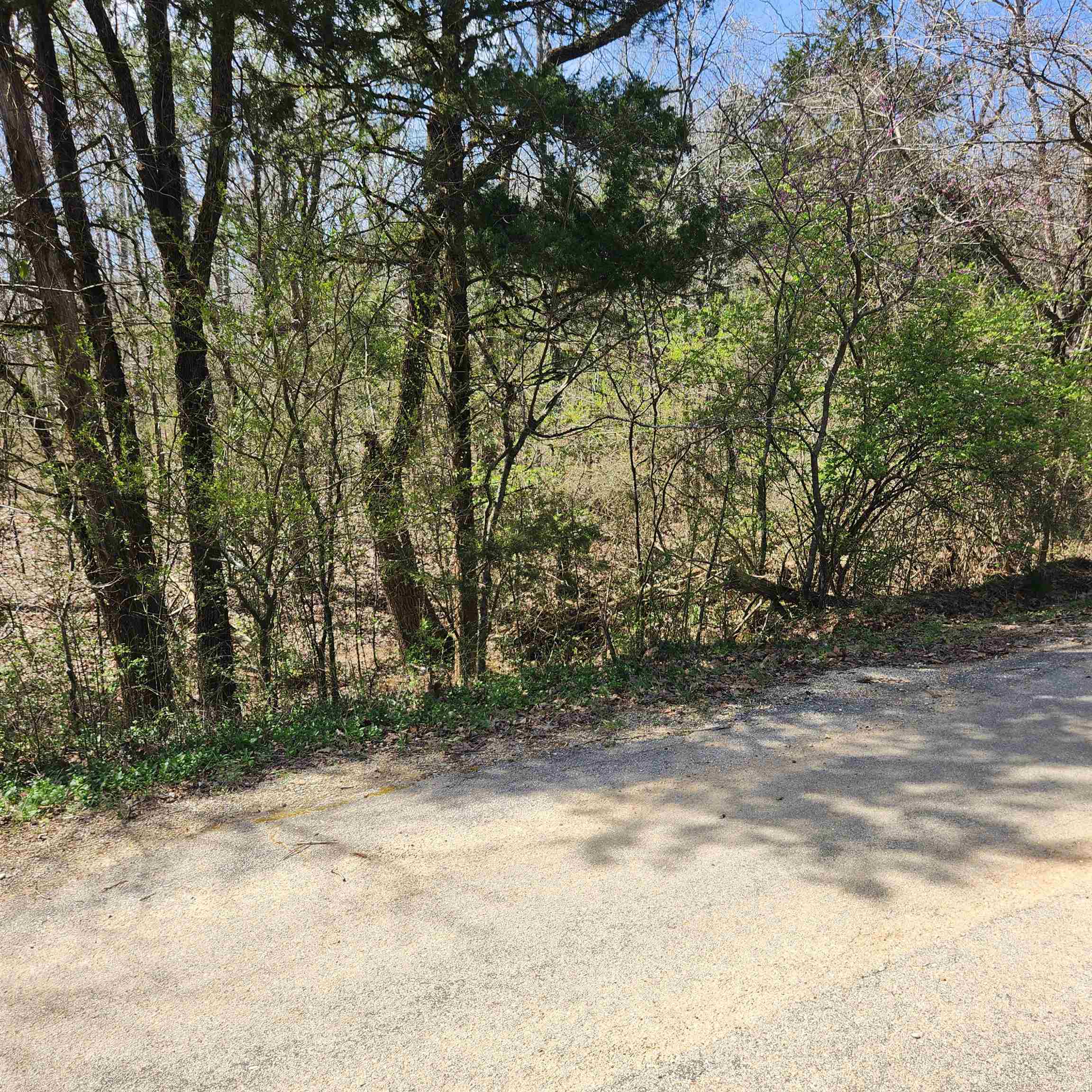 Photo 6 - Vacant Land for sale – L 19 B 9  Ouachita   Cherokee Village, AR
