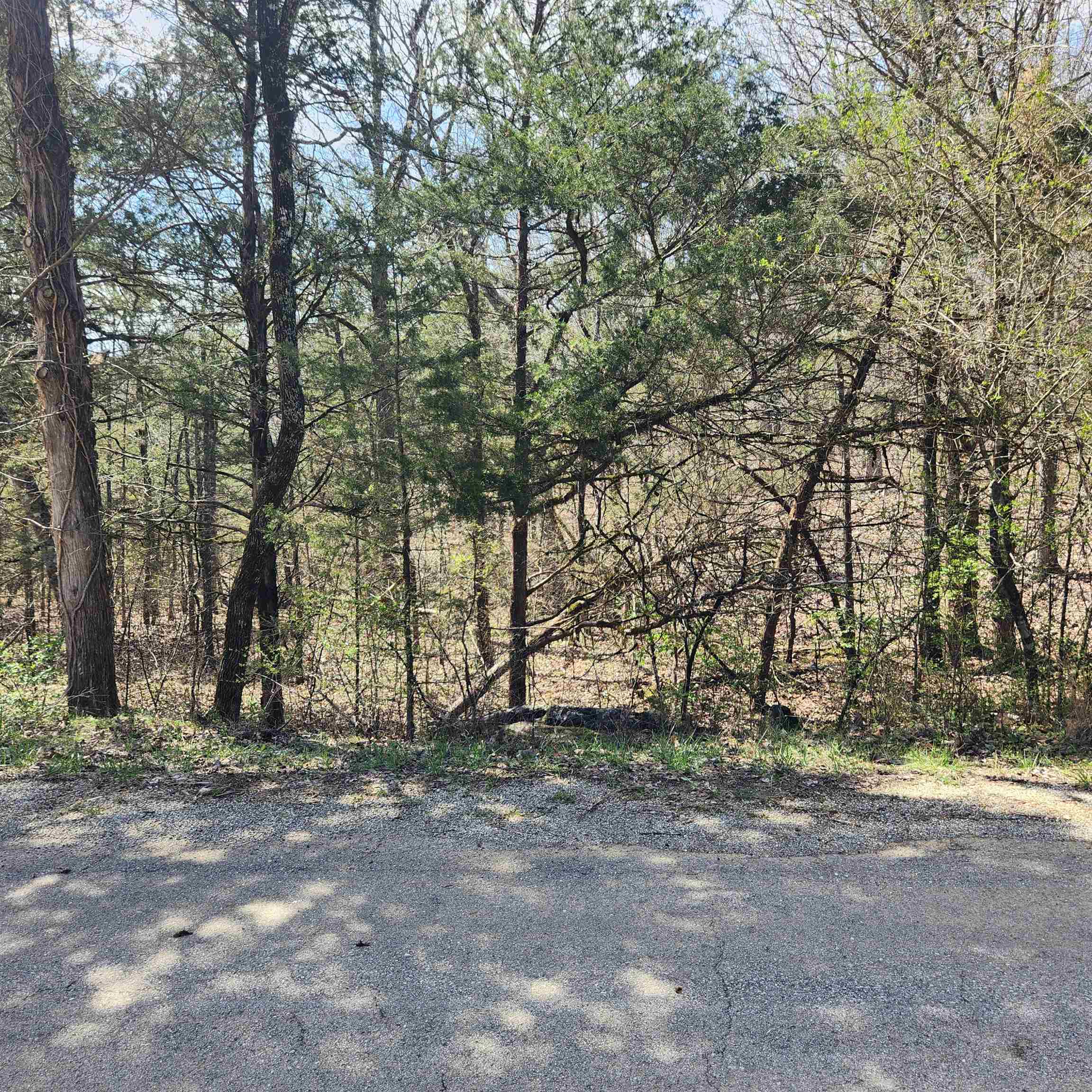 Photo 7 - Vacant Land for sale – L 19 B 9  Ouachita   Cherokee Village, AR