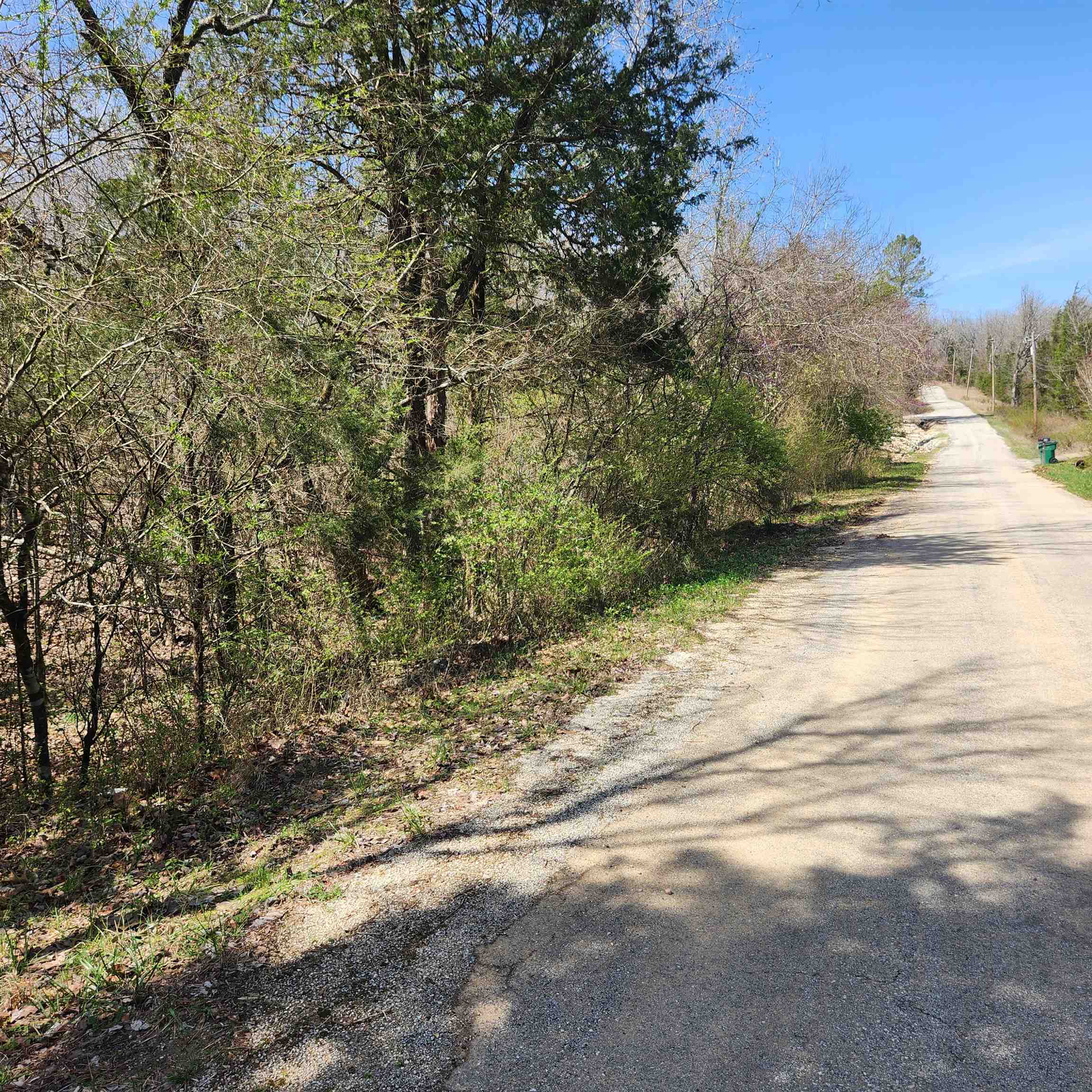 Photo 8 - Vacant Land for sale – L 19 B 9  Ouachita   Cherokee Village, AR