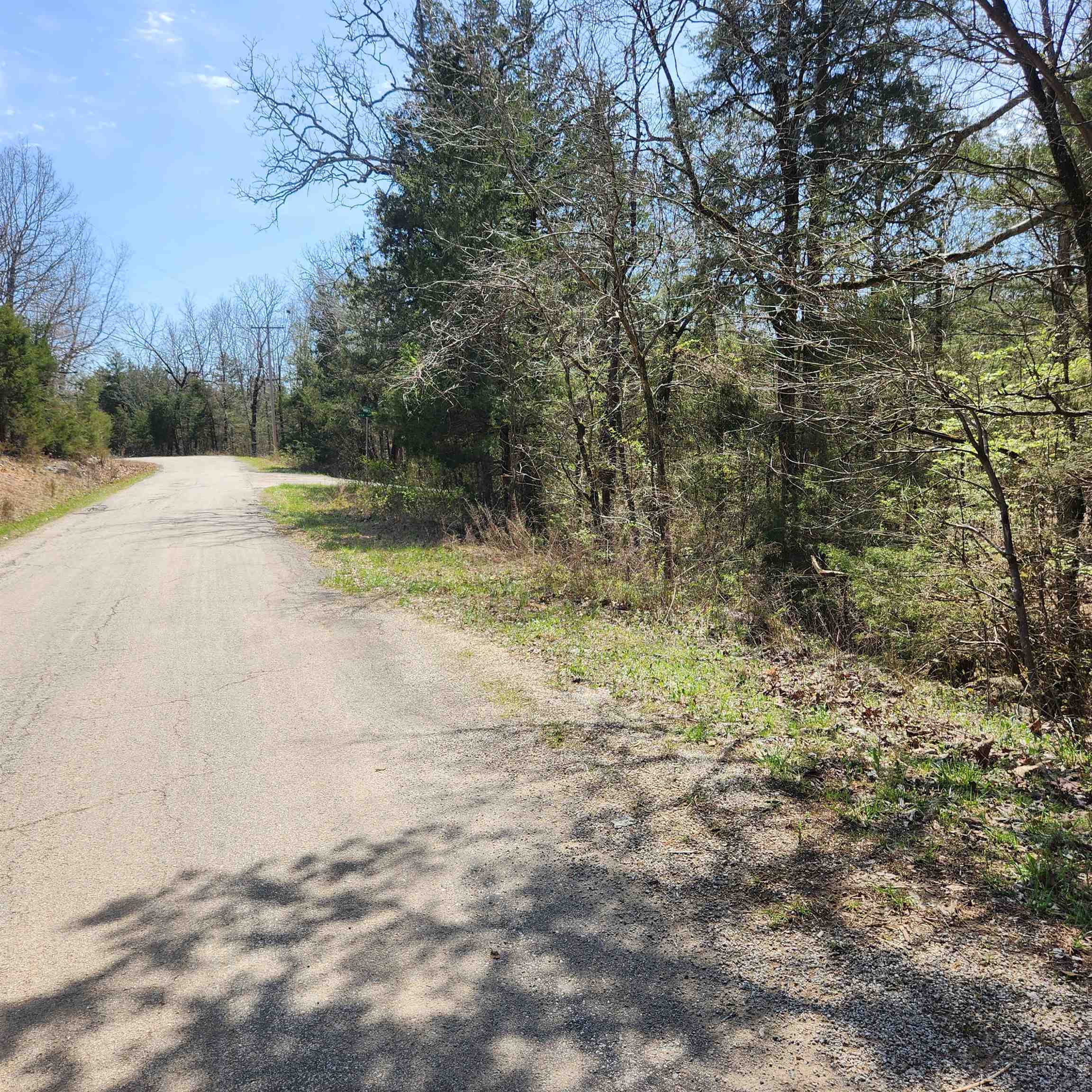 Photo 9 - Vacant Land for sale – L 19 B 9  Ouachita   Cherokee Village, AR