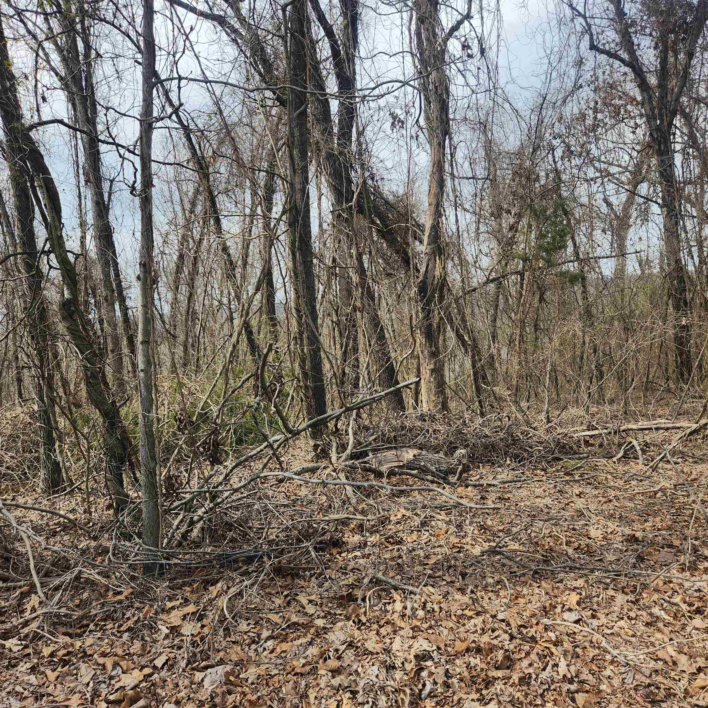 Vacant Land for sale – L-1, B-9  Hiawatha   Cherokee Village, AR
