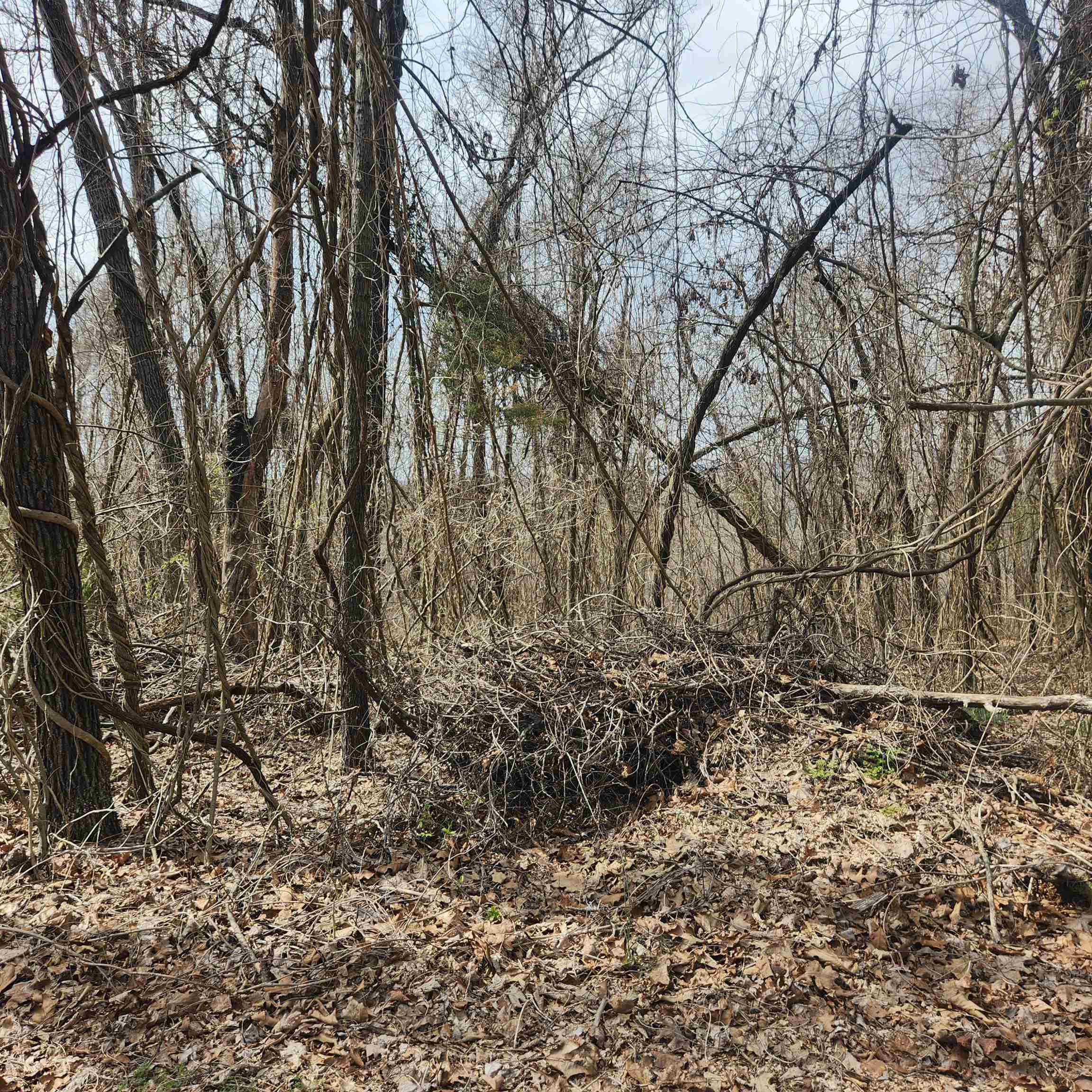 Photo 2 - Vacant Land for sale – L-1, B-9  Hiawatha   Cherokee Village, AR