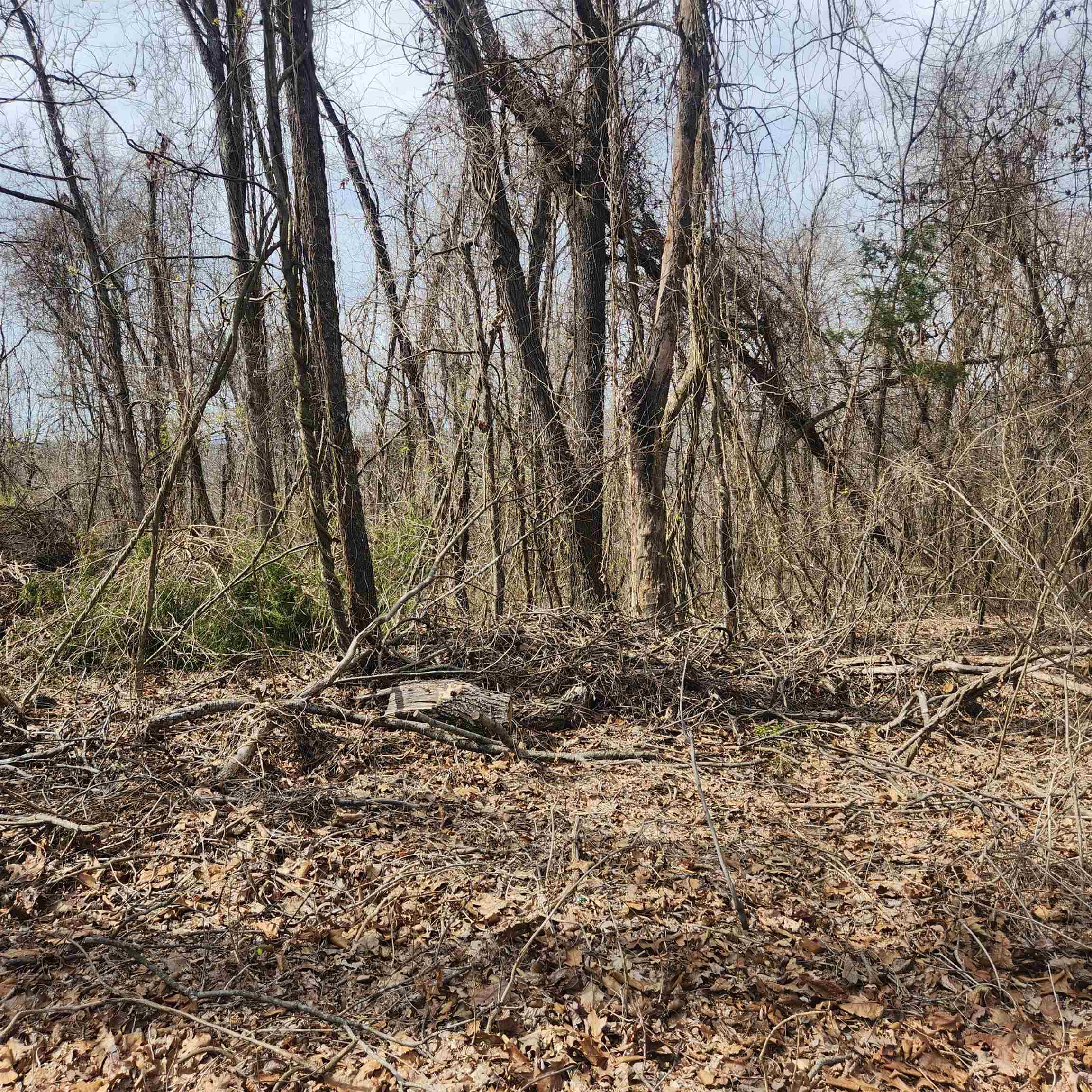 Photo 3 - Vacant Land for sale – L-1, B-9  Hiawatha   Cherokee Village, AR