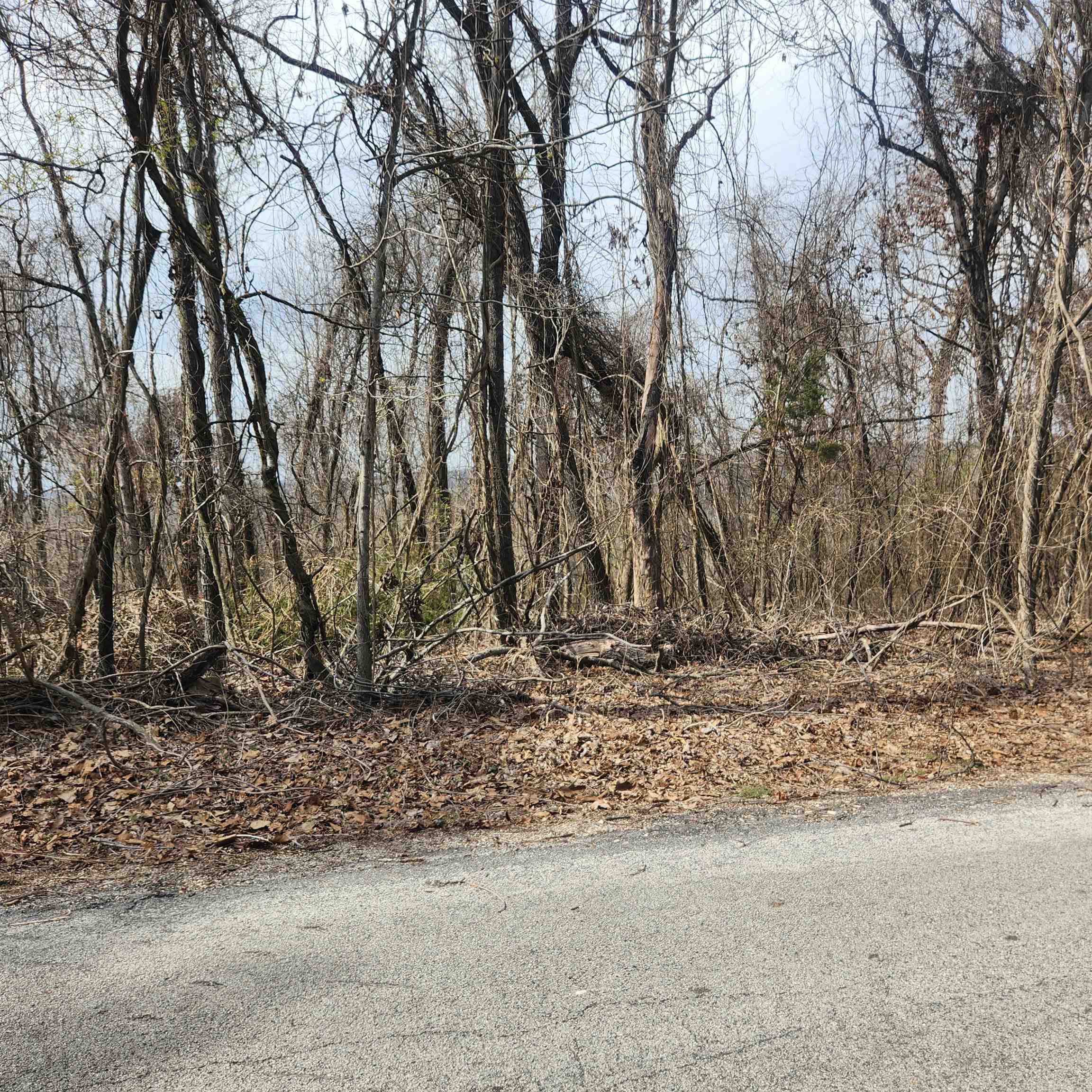 Photo 4 - Vacant Land for sale – L-1, B-9  Hiawatha   Cherokee Village, AR