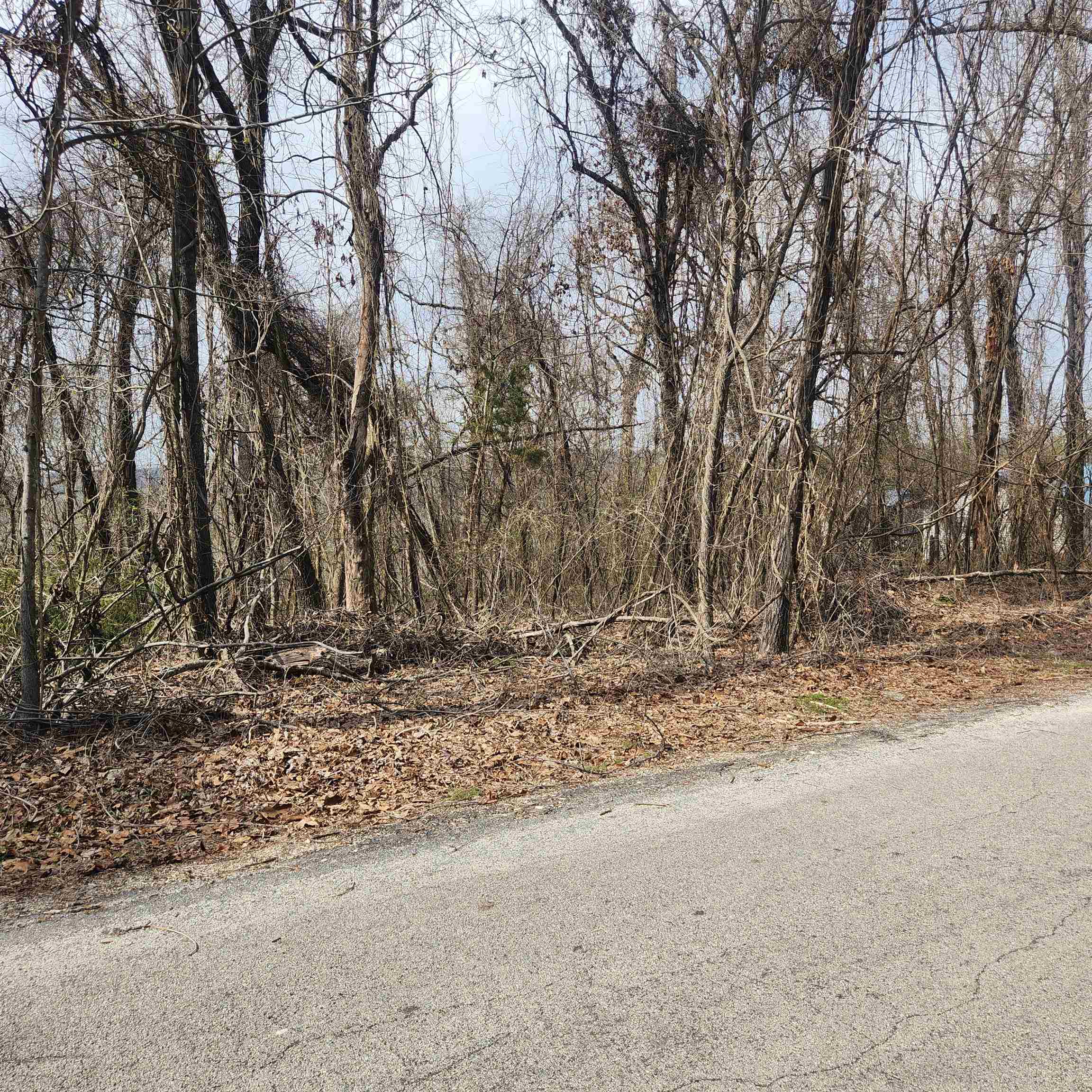 Photo 5 - Vacant Land for sale – L-1, B-9  Hiawatha   Cherokee Village, AR