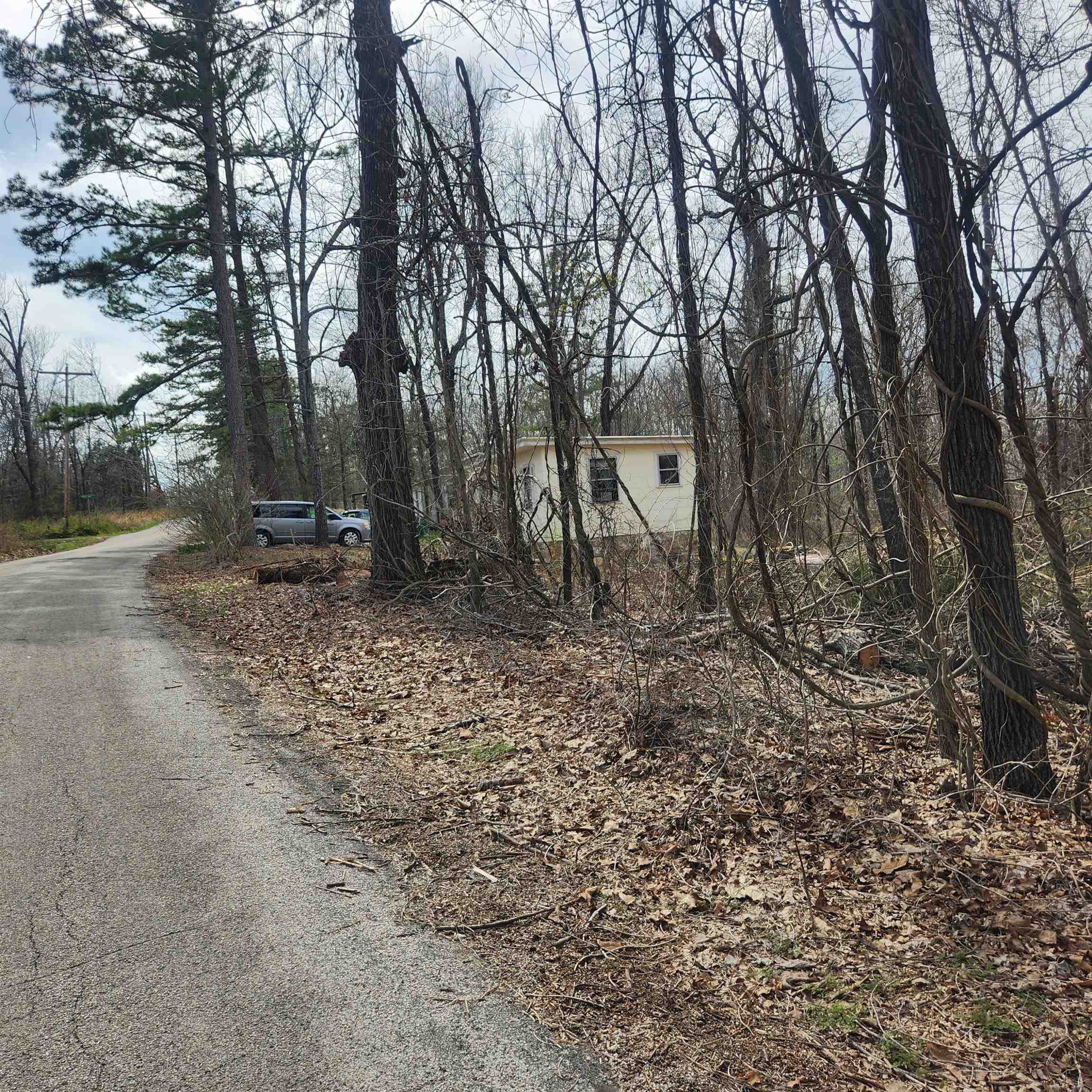 Photo 6 - Vacant Land for sale – L-1, B-9  Hiawatha   Cherokee Village, AR