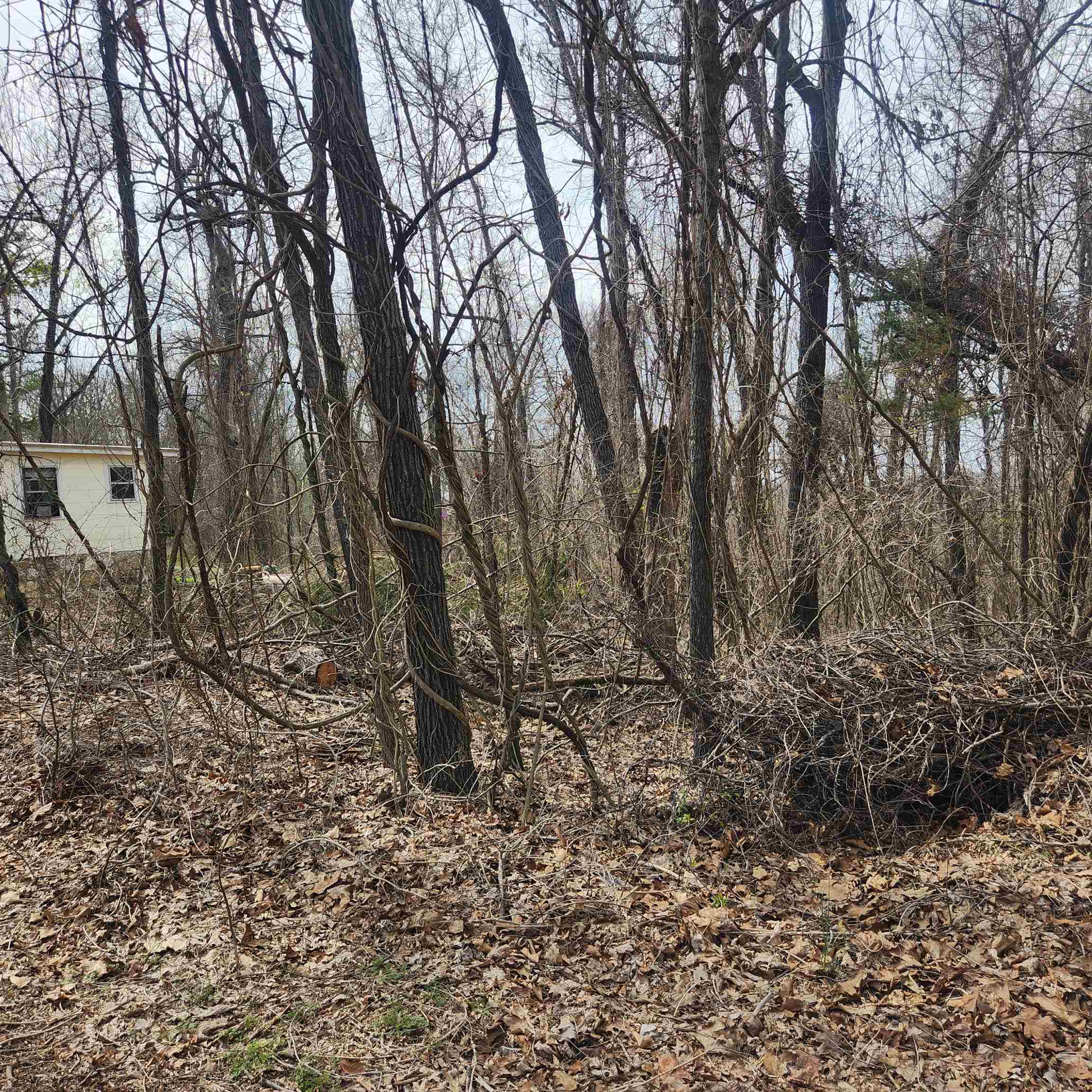 Photo 7 - Vacant Land for sale – L-1, B-9  Hiawatha   Cherokee Village, AR
