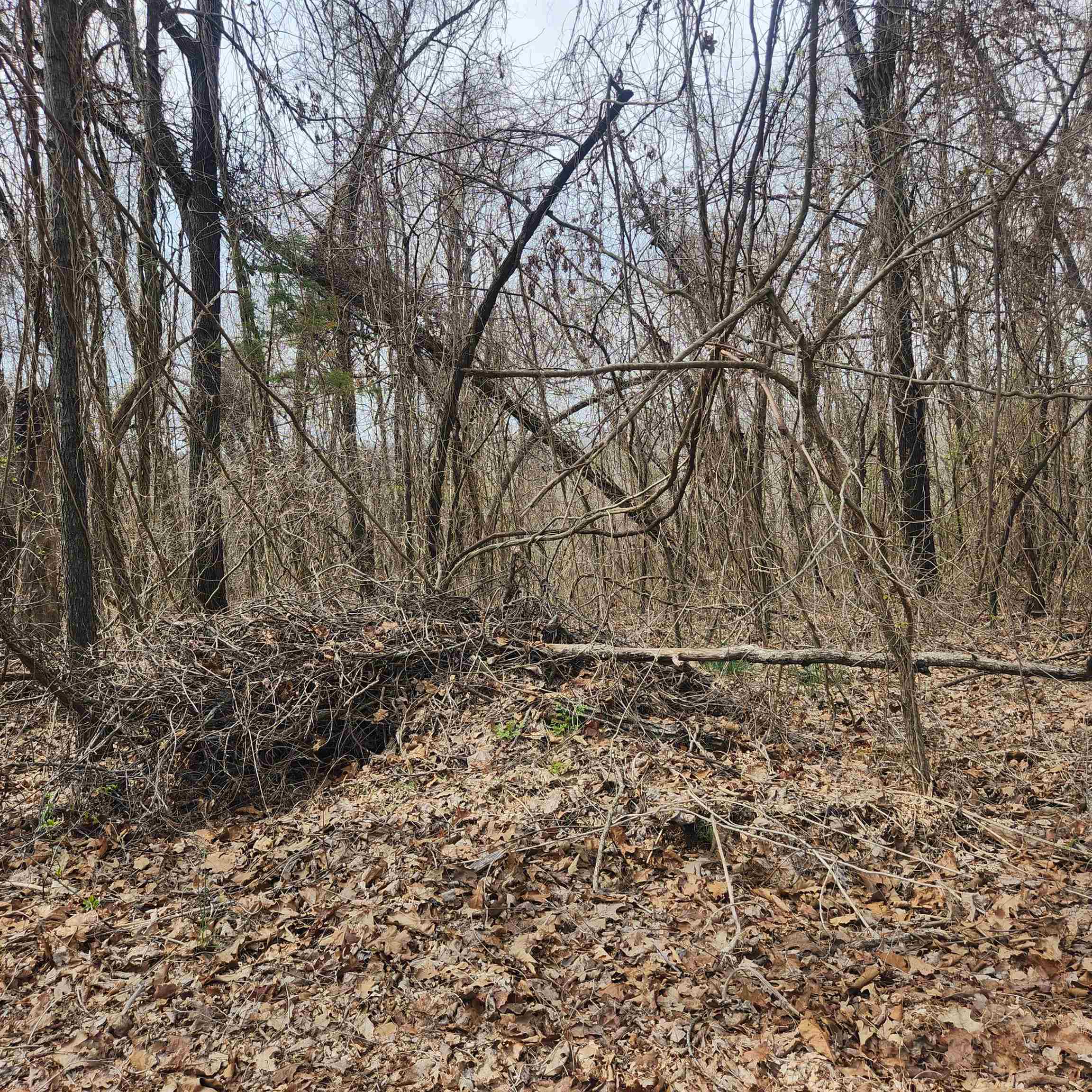 Photo 8 - Vacant Land for sale – L-1, B-9  Hiawatha   Cherokee Village, AR