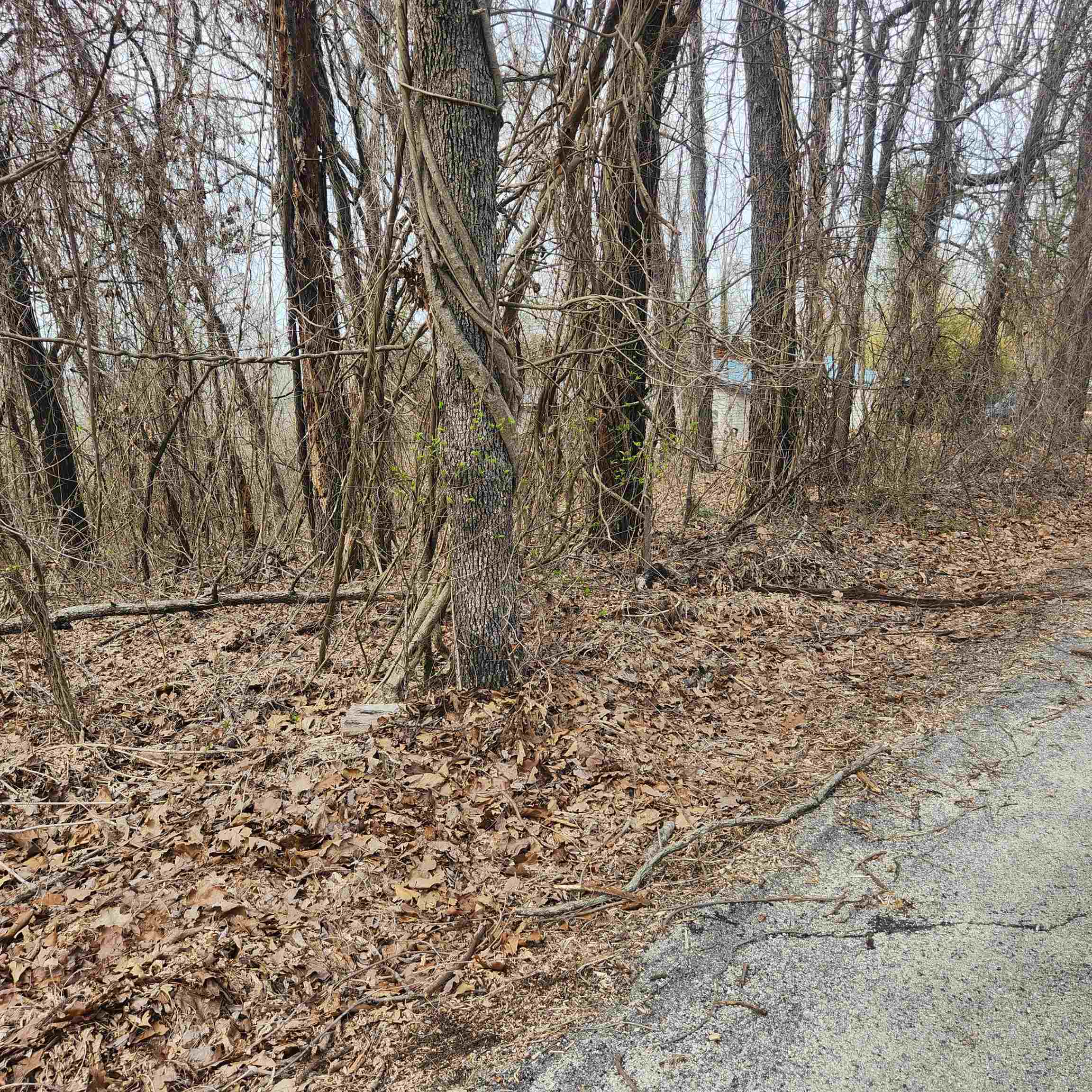 Photo 9 - Vacant Land for sale – L-1, B-9  Hiawatha   Cherokee Village, AR