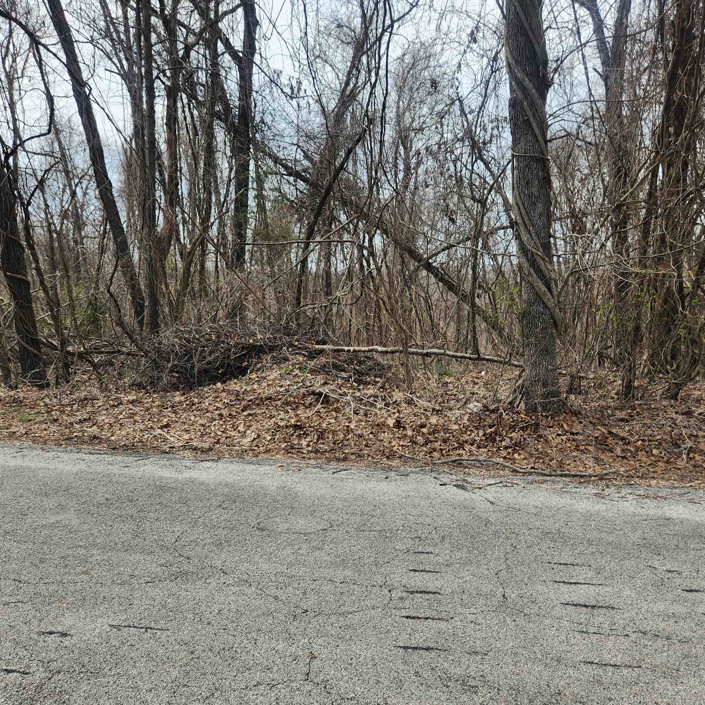 Photo 10 - Vacant Land for sale – L-1, B-9  Hiawatha   Cherokee Village, AR